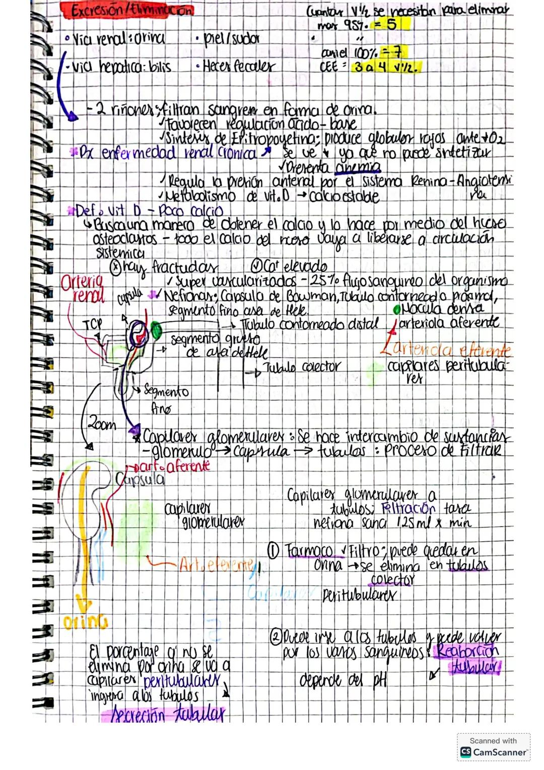 Desarrolb de mevos
medicomentos.
Evalua distintos ntos parametros por medio de estudios
Ocupa un organismo otipo &, ablua a a an un sujeto