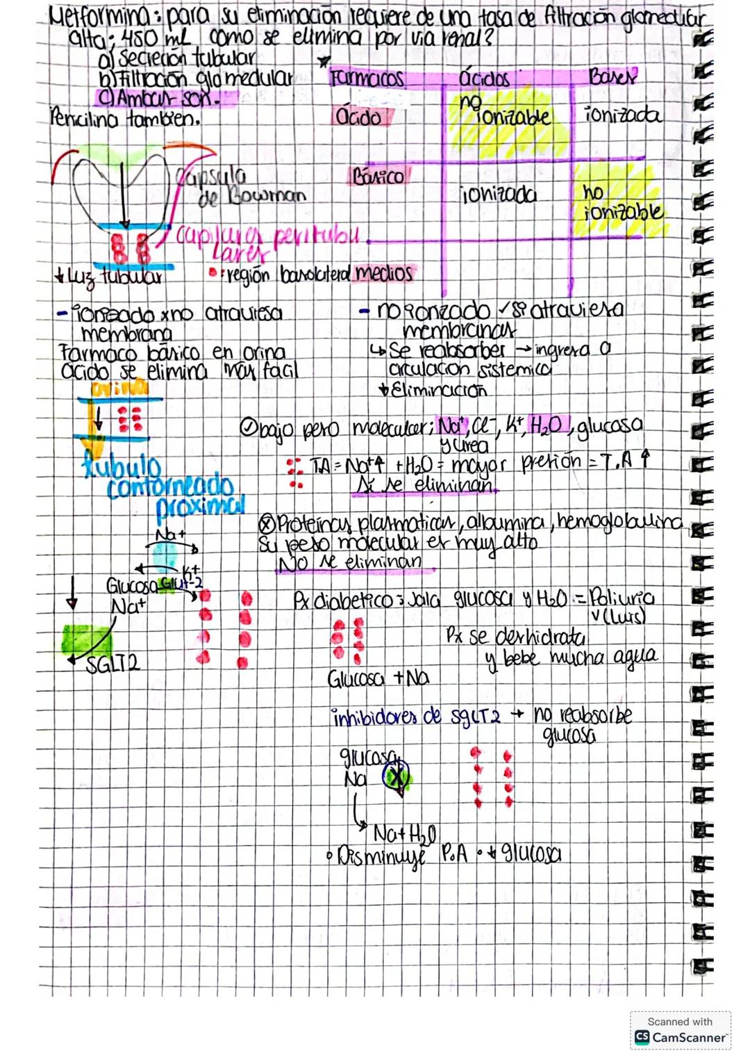 Desarrolb de mevos
medicomentos.
Evalua distintos ntos parametros por medio de estudios
Ocupa un organismo otipo &, ablua a a an un sujeto