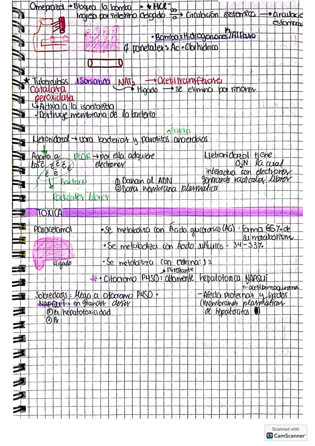 Desarrolb de mevos
medicomentos.
Evalua distintos ntos parametros por medio de estudios
Ocupa un organismo otipo &, ablua a a an un sujeto