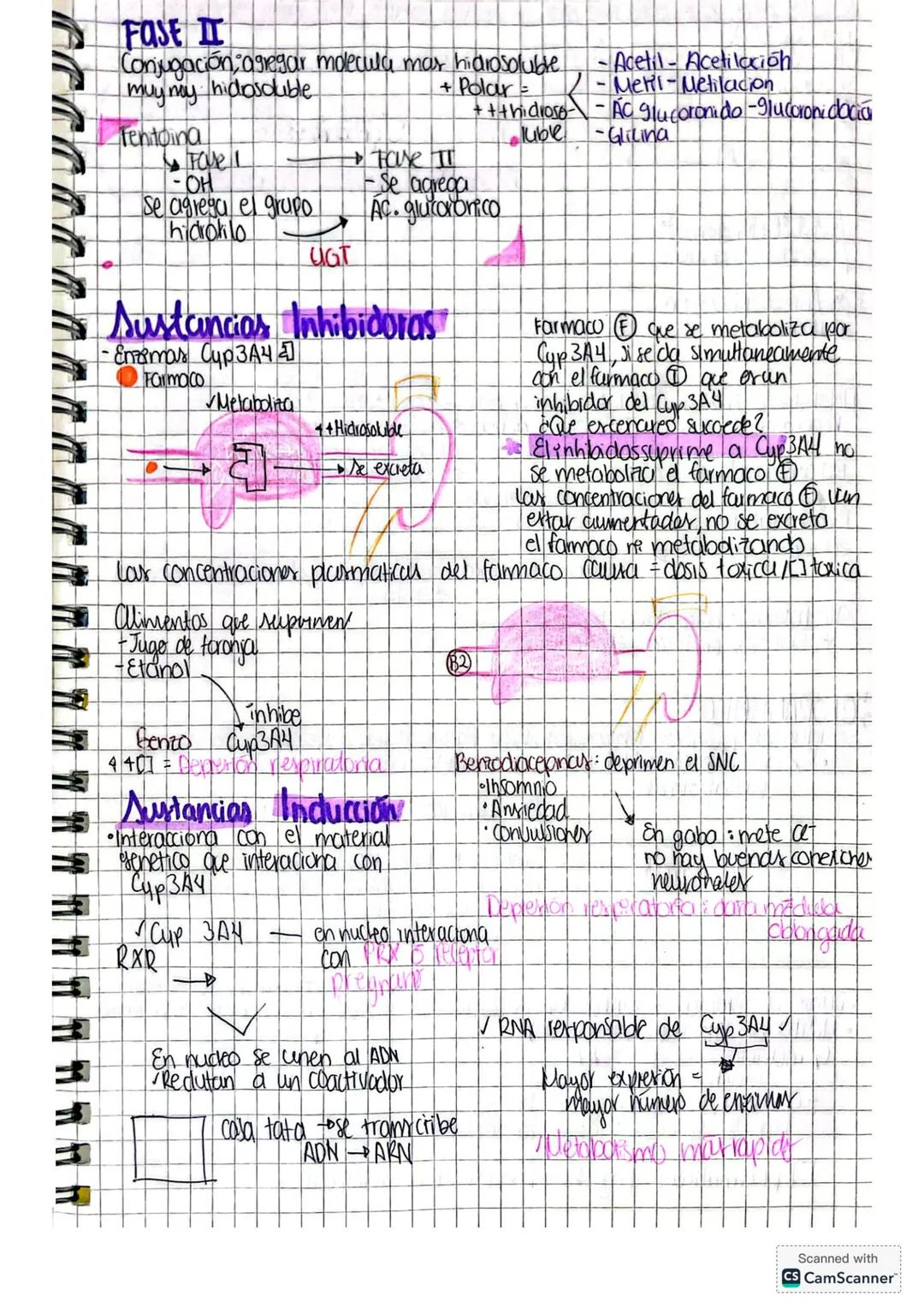 Desarrolb de mevos
medicomentos.
Evalua distintos ntos parametros por medio de estudios
Ocupa un organismo otipo &, ablua a a an un sujeto