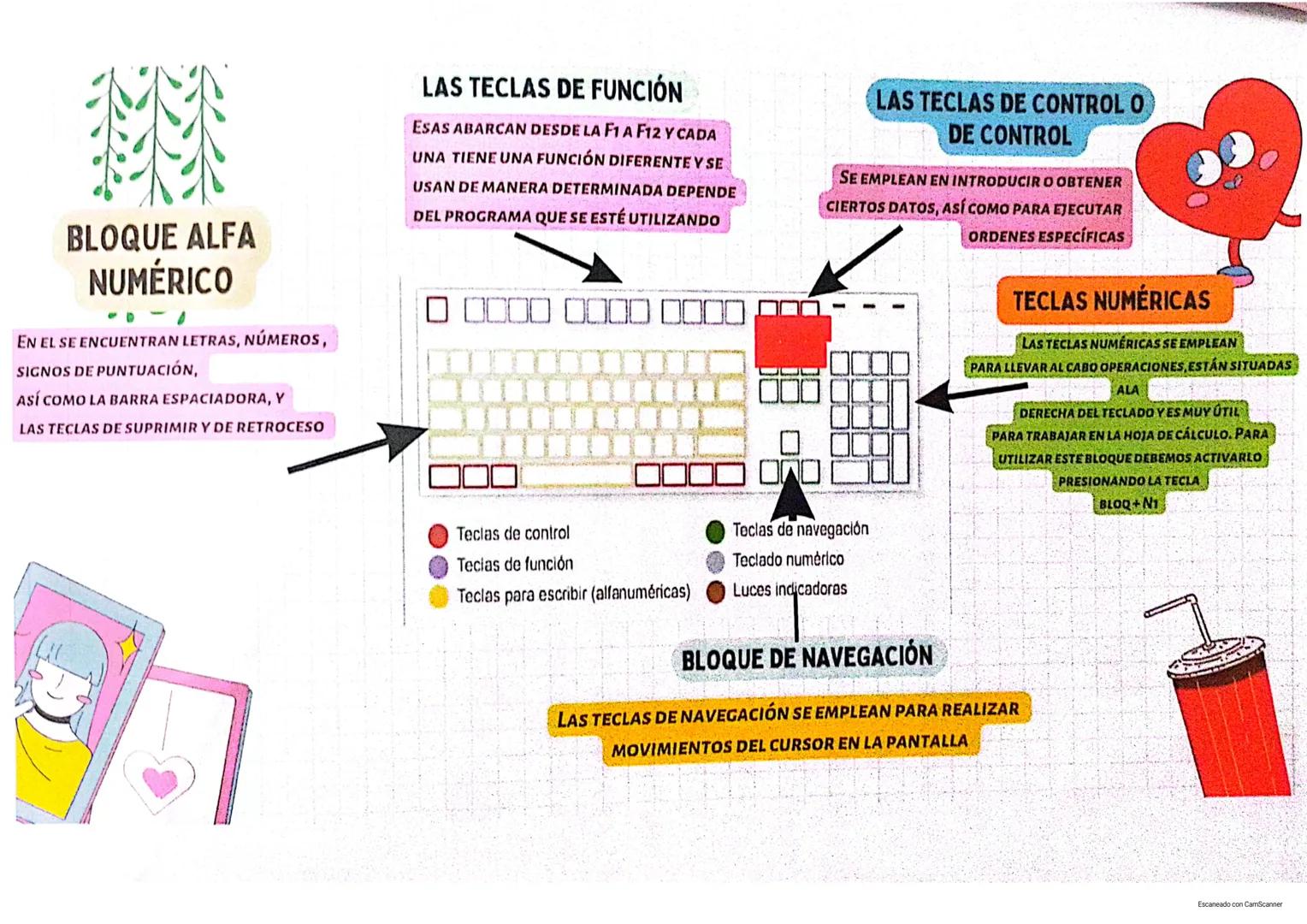# TECLADO
EL TECLADO ES UNA HERRAMIENTA VITAL PARA EL FUNCIONAMIENTO DE LA
COMPUTADORA JUNTO CON EL MOUSE ES EL MEDIO MÁS UTILIZADO PARA LA