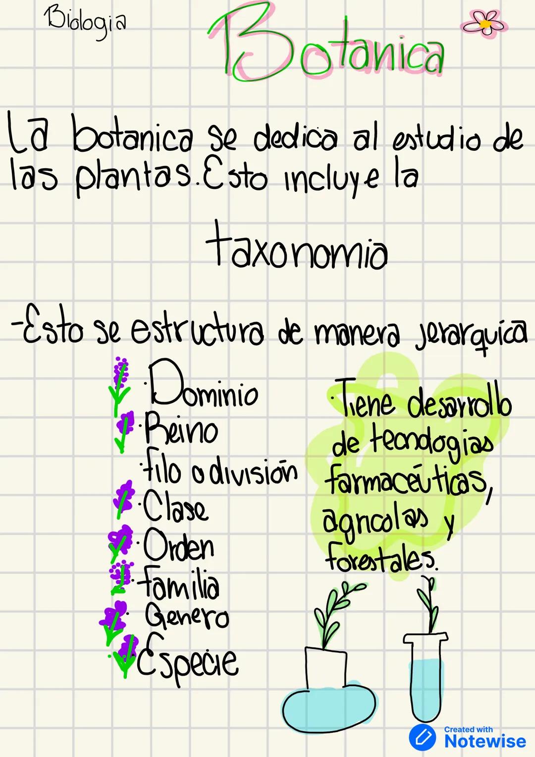 Bidogia
Botanica
La botanica se dedica al estudio de
las plantas. Esto incluye la
ela
taxonomia
-Esto se estructura de manera jerarquica
Dom