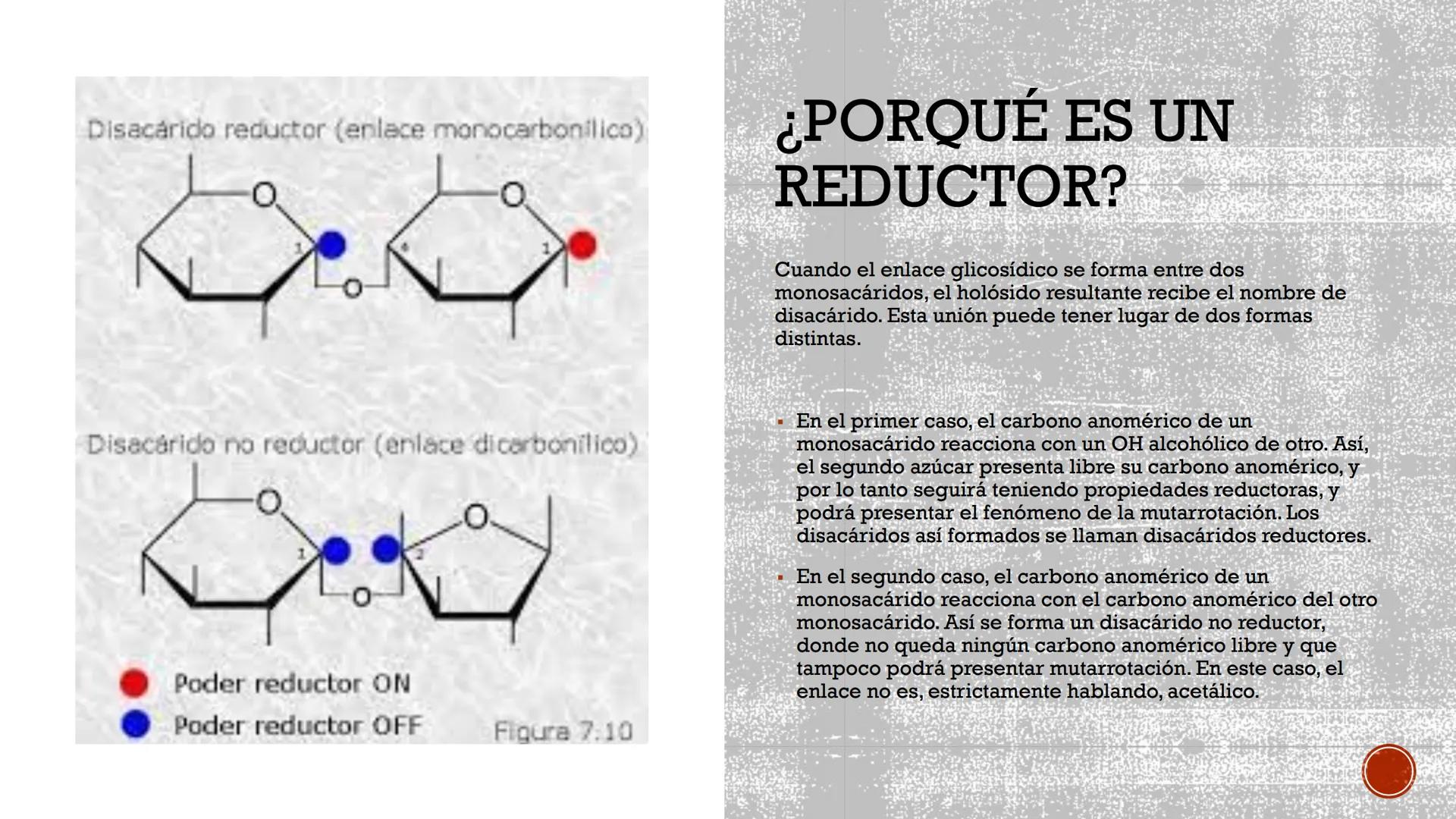 DISACÁRIDOS # ¿QUÉ SON?
Los disacáridos son carbohidratos que constan de 2 unidades de monosacáridos que se
liberan al ser sometidos por la