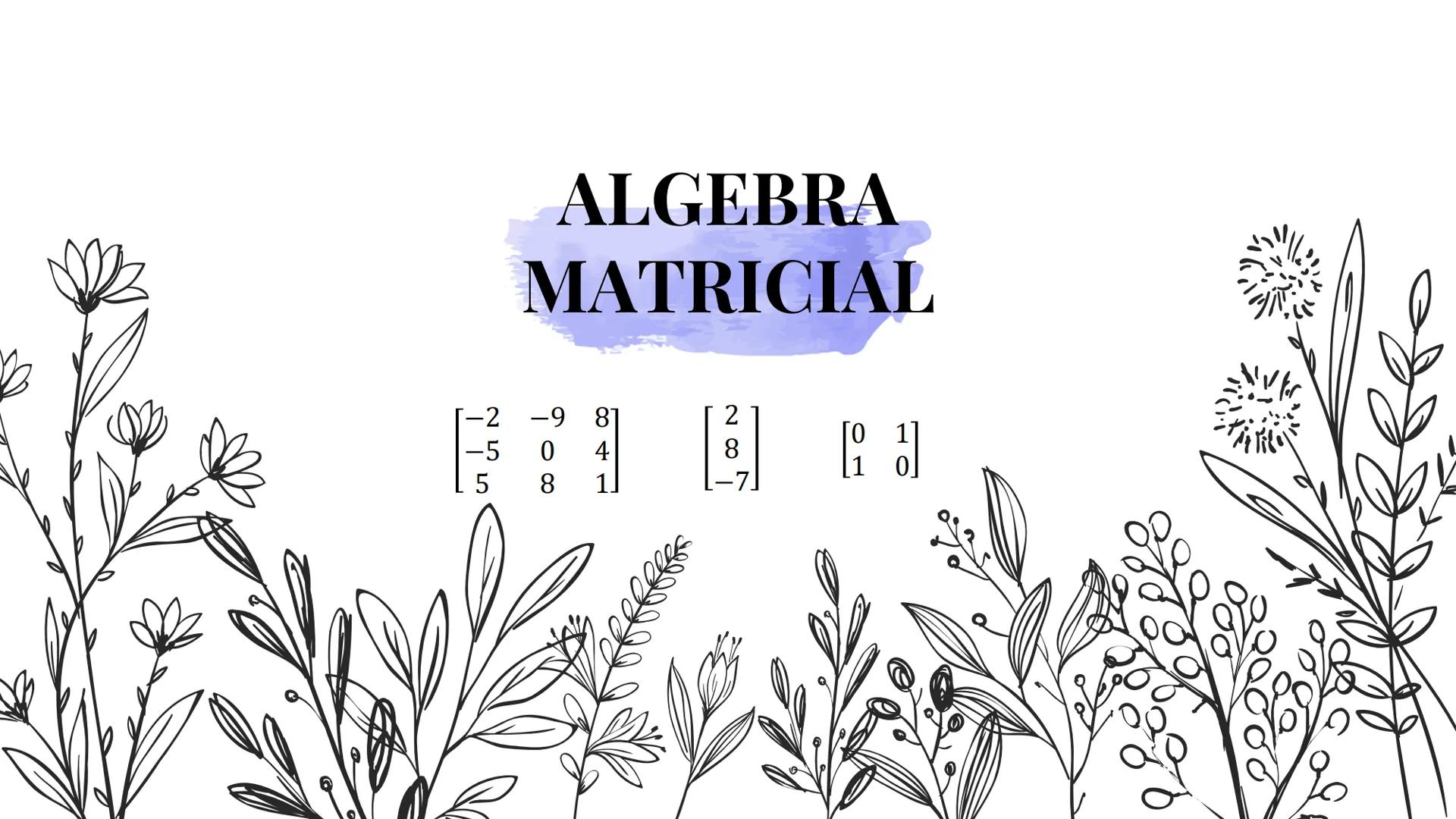ALGEBRA
MATRICIAL
$\begin{bmatrix} -2 & -9 & 8 \\ -5 & 0 & 4 \\ 5 & 8 & 1 \end{bmatrix}$ $\begin{bmatrix} 2 \\ 8 \\ -7 \end{bmatrix}$ $\begi