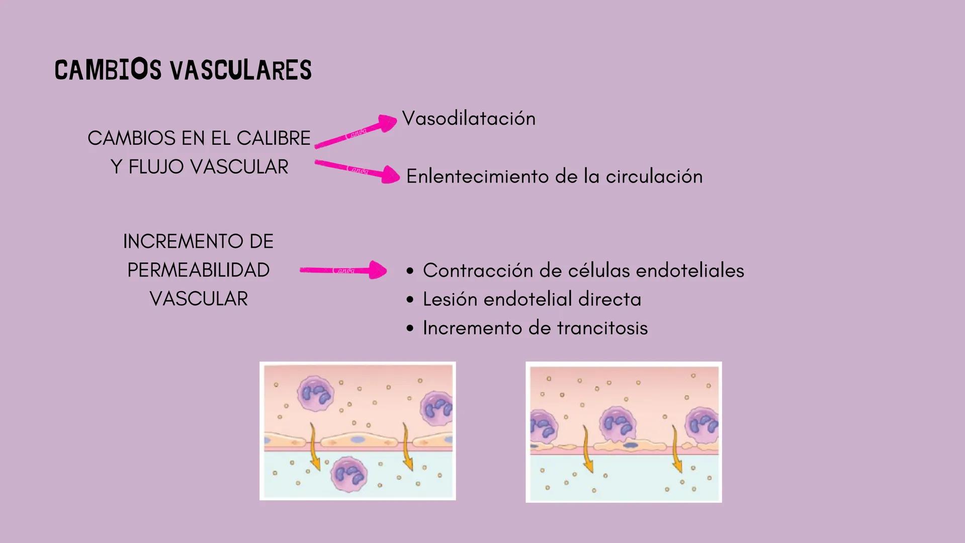 # INFLAMACIÓN,
# DOLOR Y FIEBRE # INFLAMACIÓN
Respuesta de los tejidos vascularizados a las infecciones y al daño tisular, que hace
que las