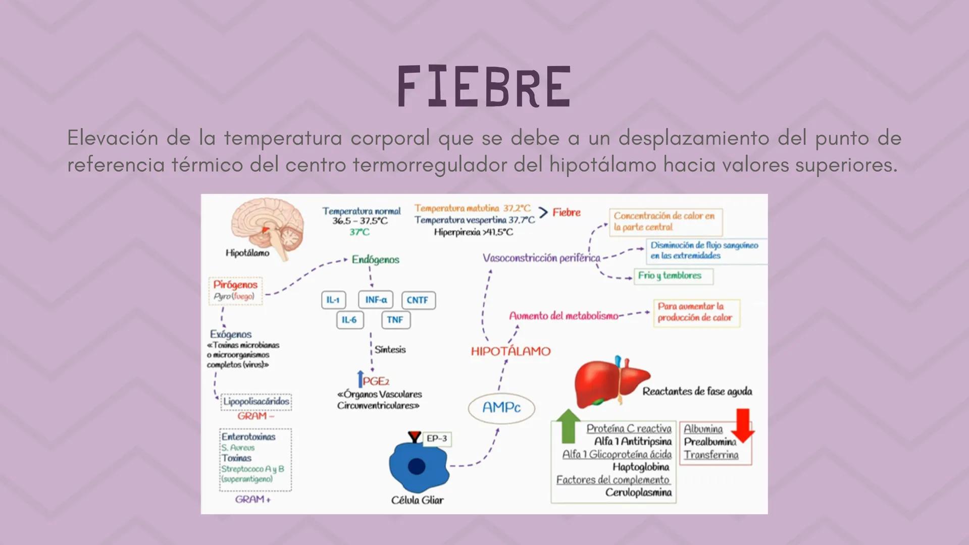 # INFLAMACIÓN,
# DOLOR Y FIEBRE # INFLAMACIÓN
Respuesta de los tejidos vascularizados a las infecciones y al daño tisular, que hace
que las