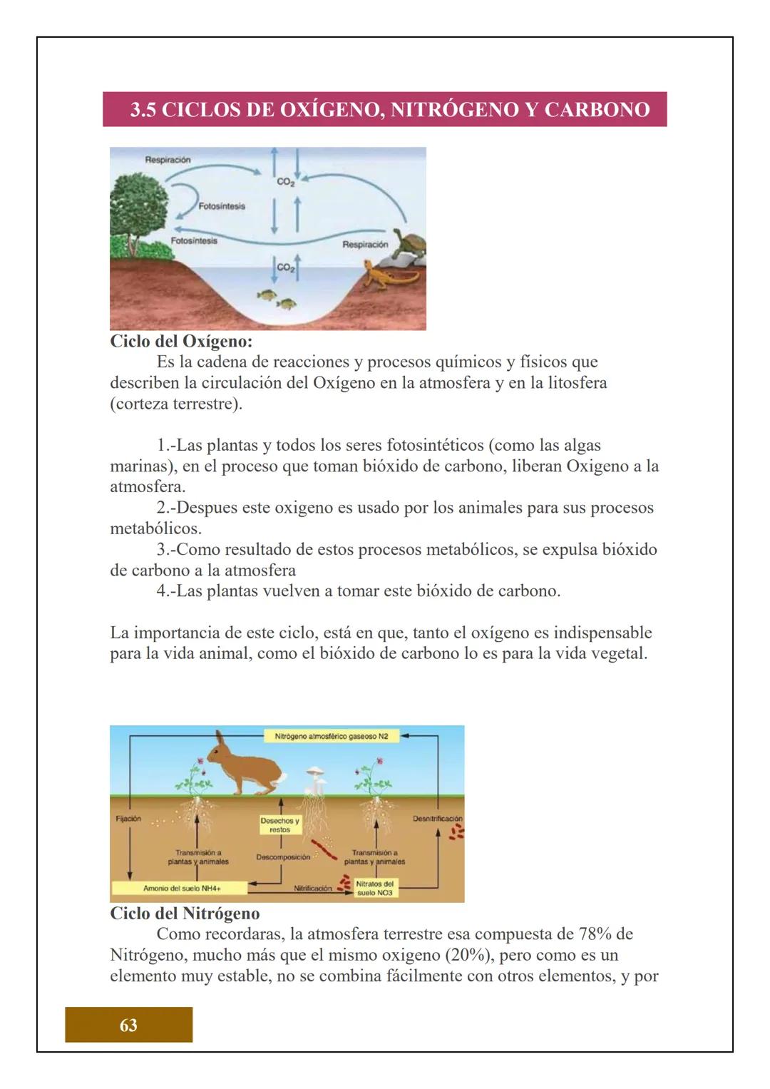1.2 ESTRUCTURA ATÓMICA
1.2.1 CONCEPTOS DE ÁTOMOS, PROTÓN, NEUTRÓN,
NÚMERO ATÓMICO Y MASA ATÓMICA
Electrón
Protón
Neutrón
El Átomo es la unid