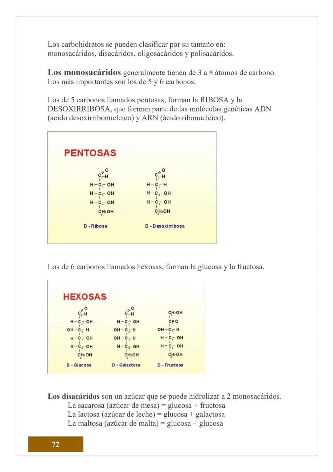 1.2 ESTRUCTURA ATÓMICA
1.2.1 CONCEPTOS DE ÁTOMOS, PROTÓN, NEUTRÓN,
NÚMERO ATÓMICO Y MASA ATÓMICA
Electrón
Protón
Neutrón
El Átomo es la unid