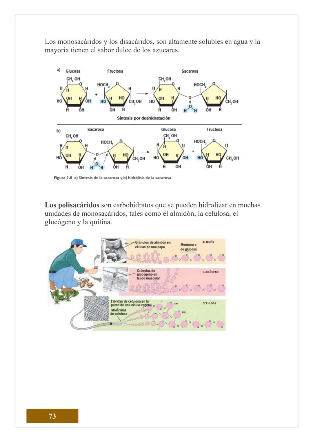 1.2 ESTRUCTURA ATÓMICA
1.2.1 CONCEPTOS DE ÁTOMOS, PROTÓN, NEUTRÓN,
NÚMERO ATÓMICO Y MASA ATÓMICA
Electrón
Protón
Neutrón
El Átomo es la unid
