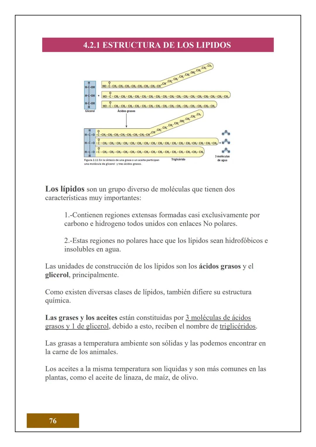 1.2 ESTRUCTURA ATÓMICA
1.2.1 CONCEPTOS DE ÁTOMOS, PROTÓN, NEUTRÓN,
NÚMERO ATÓMICO Y MASA ATÓMICA
Electrón
Protón
Neutrón
El Átomo es la unid