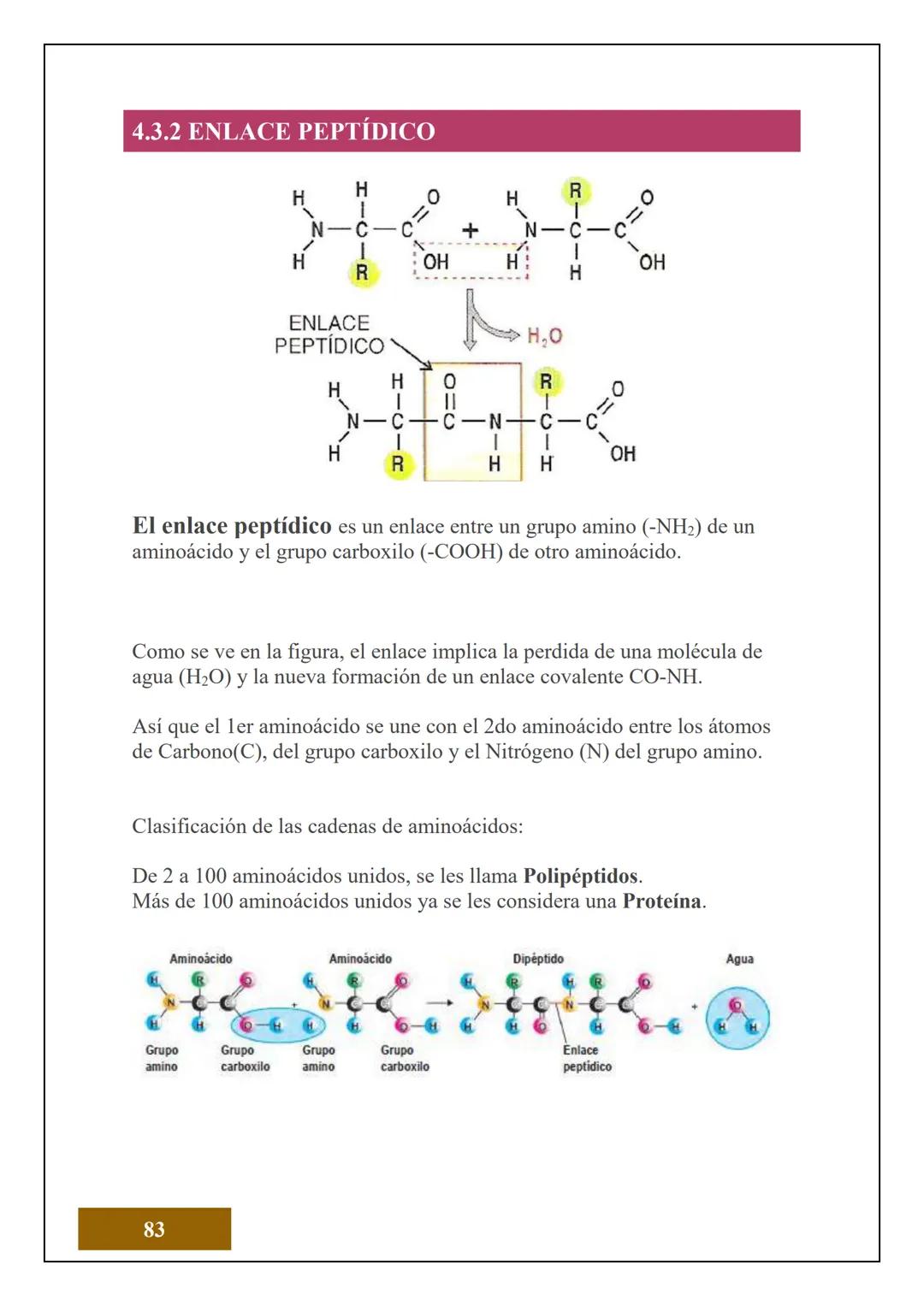 1.2 ESTRUCTURA ATÓMICA
1.2.1 CONCEPTOS DE ÁTOMOS, PROTÓN, NEUTRÓN,
NÚMERO ATÓMICO Y MASA ATÓMICA
Electrón
Protón
Neutrón
El Átomo es la unid