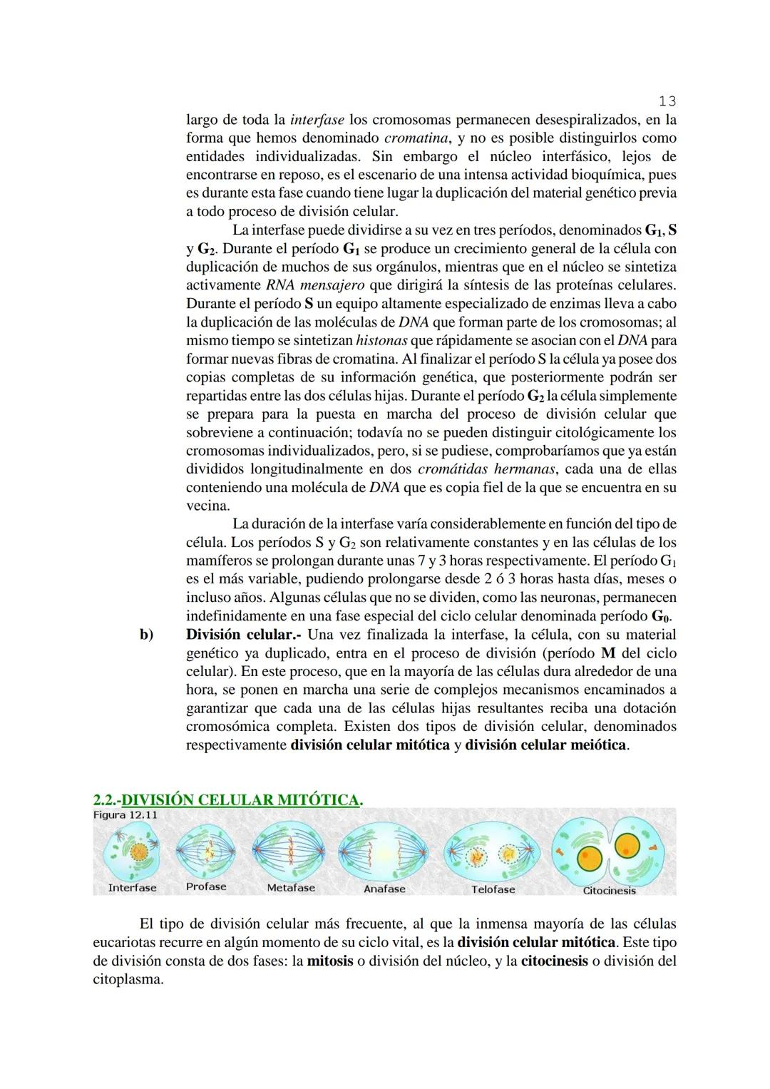 # 1
TEMA 12: FISIOLOGÍA CELULAR.
La célula, en tanto que unidad funcional de los seres vivos, está capacitada para llevar a
cabo las funci