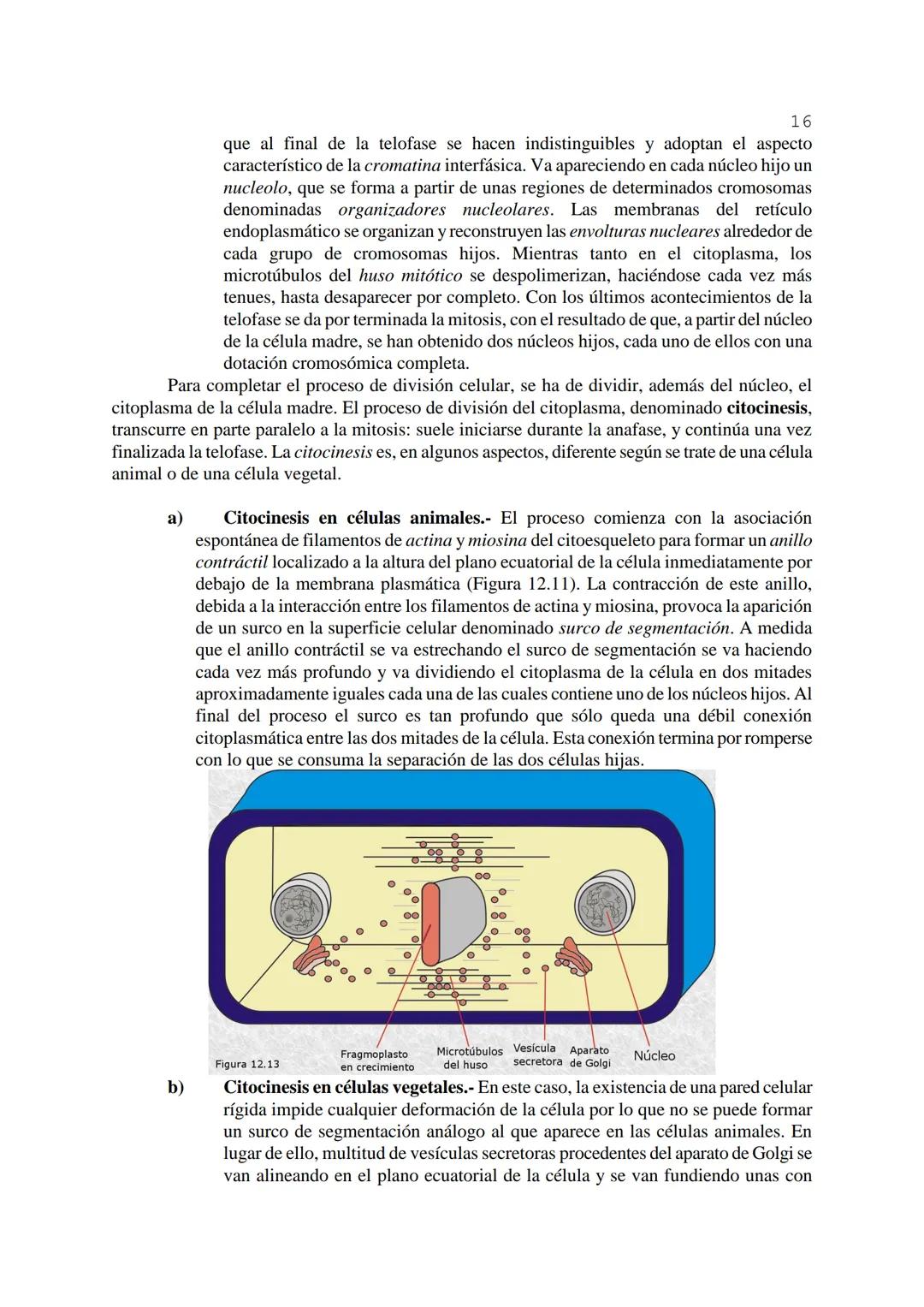 # 1
TEMA 12: FISIOLOGÍA CELULAR.
La célula, en tanto que unidad funcional de los seres vivos, está capacitada para llevar a
cabo las funci