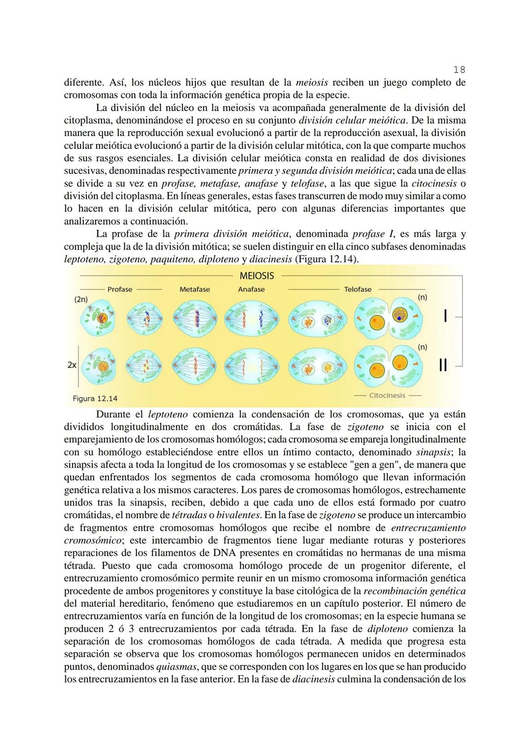 # 1
TEMA 12: FISIOLOGÍA CELULAR.
La célula, en tanto que unidad funcional de los seres vivos, está capacitada para llevar a
cabo las funci