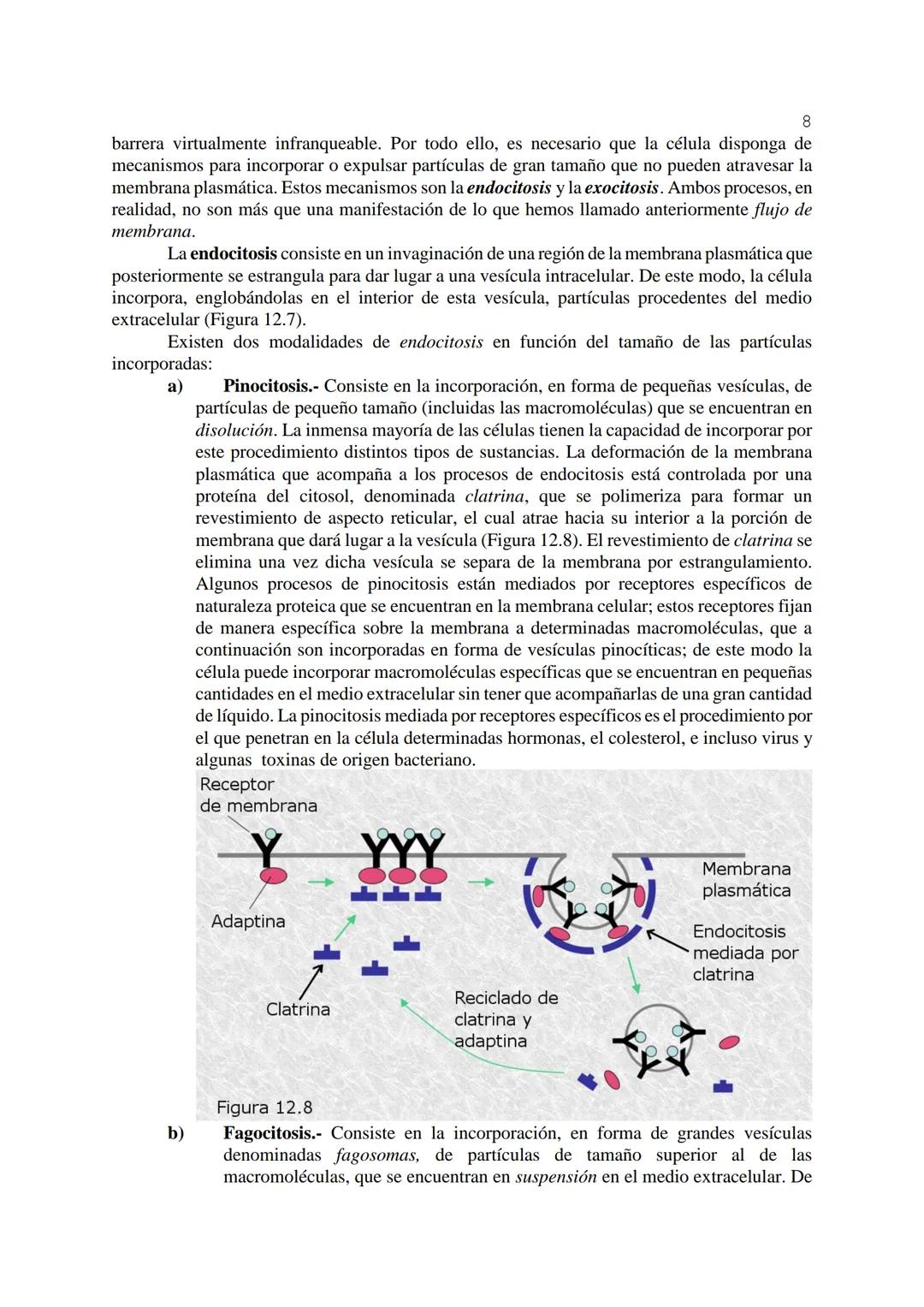 # 1
TEMA 12: FISIOLOGÍA CELULAR.
La célula, en tanto que unidad funcional de los seres vivos, está capacitada para llevar a
cabo las funci