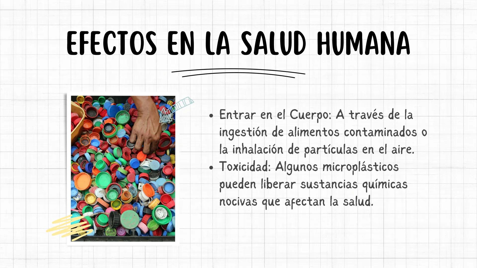 # LOS
MICROPLASTICOS
Biología I # DEFINICIÓN DE MICROPLÁSTICOS
Catch Of The Day
ATLANTIC OCEAN
$1.83
Los microplásticos son pequeñas
par