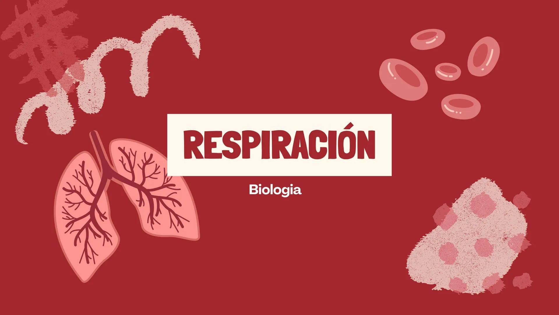 RESPIRACIÓN
Biologia ¿QUÉ ES?
La respiración es un proceso biológico propio de los
seres vivos, cuyo objetivo es mantener activo su
organism