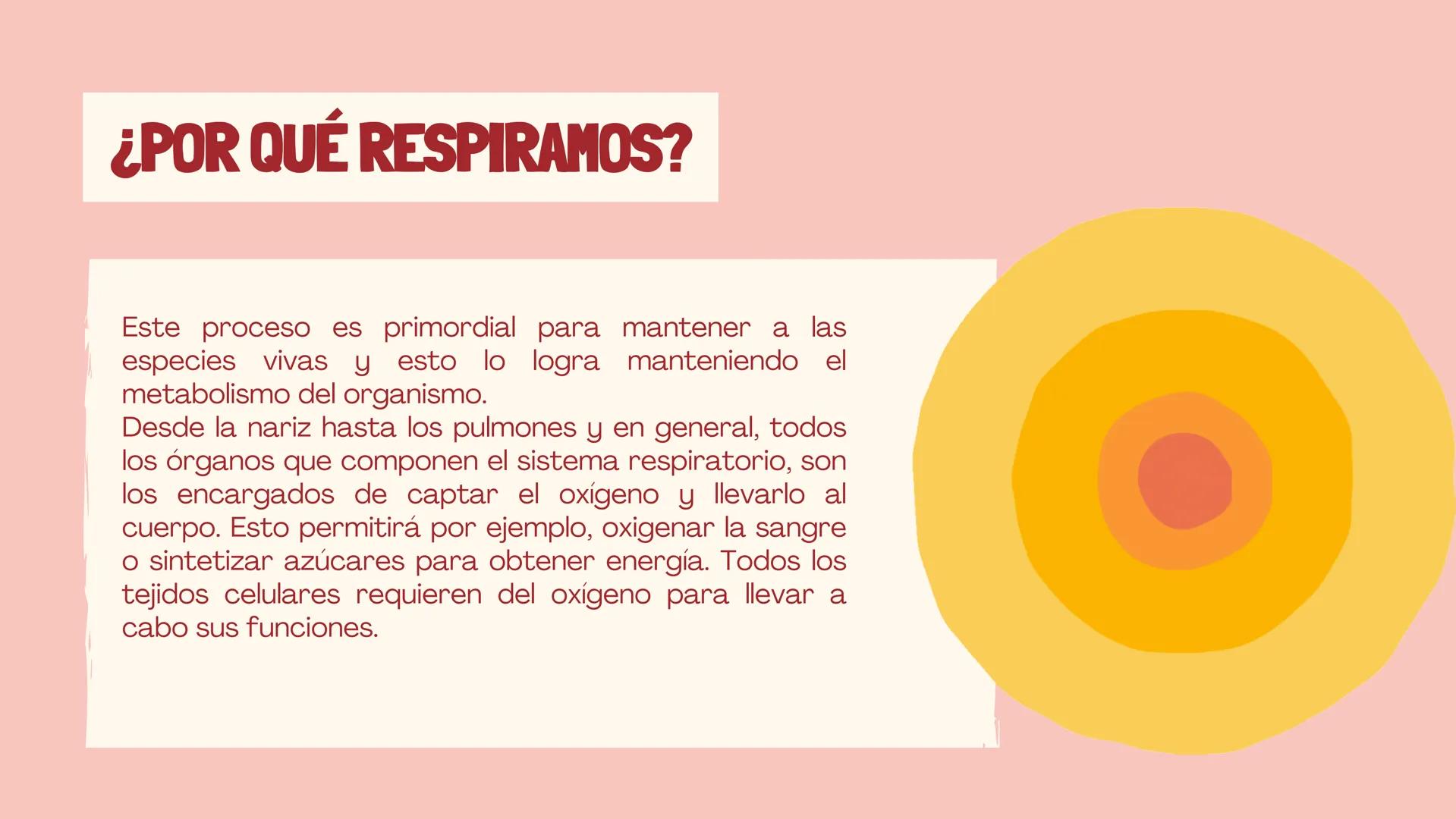 RESPIRACIÓN
Biologia ¿QUÉ ES?
La respiración es un proceso biológico propio de los
seres vivos, cuyo objetivo es mantener activo su
organism