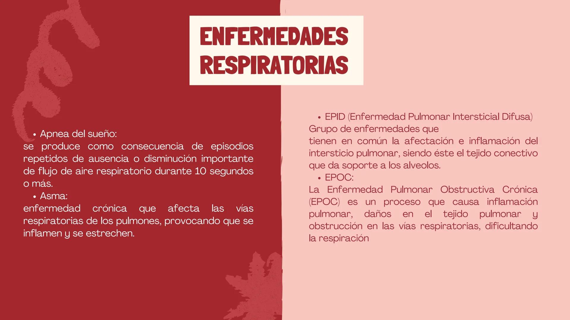 RESPIRACIÓN
Biologia ¿QUÉ ES?
La respiración es un proceso biológico propio de los
seres vivos, cuyo objetivo es mantener activo su
organism