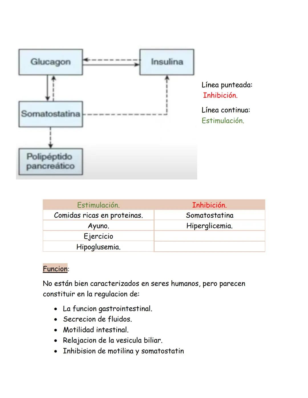 # Páncreas endocrino
Ubicación anatómica:
Órgano retroperitoneal, se extiende
transversalmente desde el duodeno
hasta el bazo, por detrás d