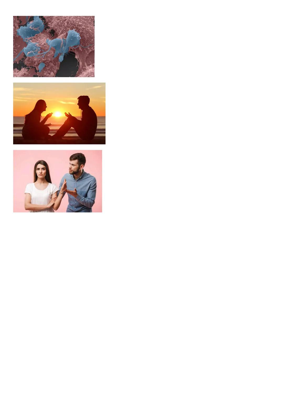 # Tricomonisis
La tricomoniasis es una infección de transmisión sexual causada por un patógeno protozoario
Ilamado Trichomonas vaginalis. E