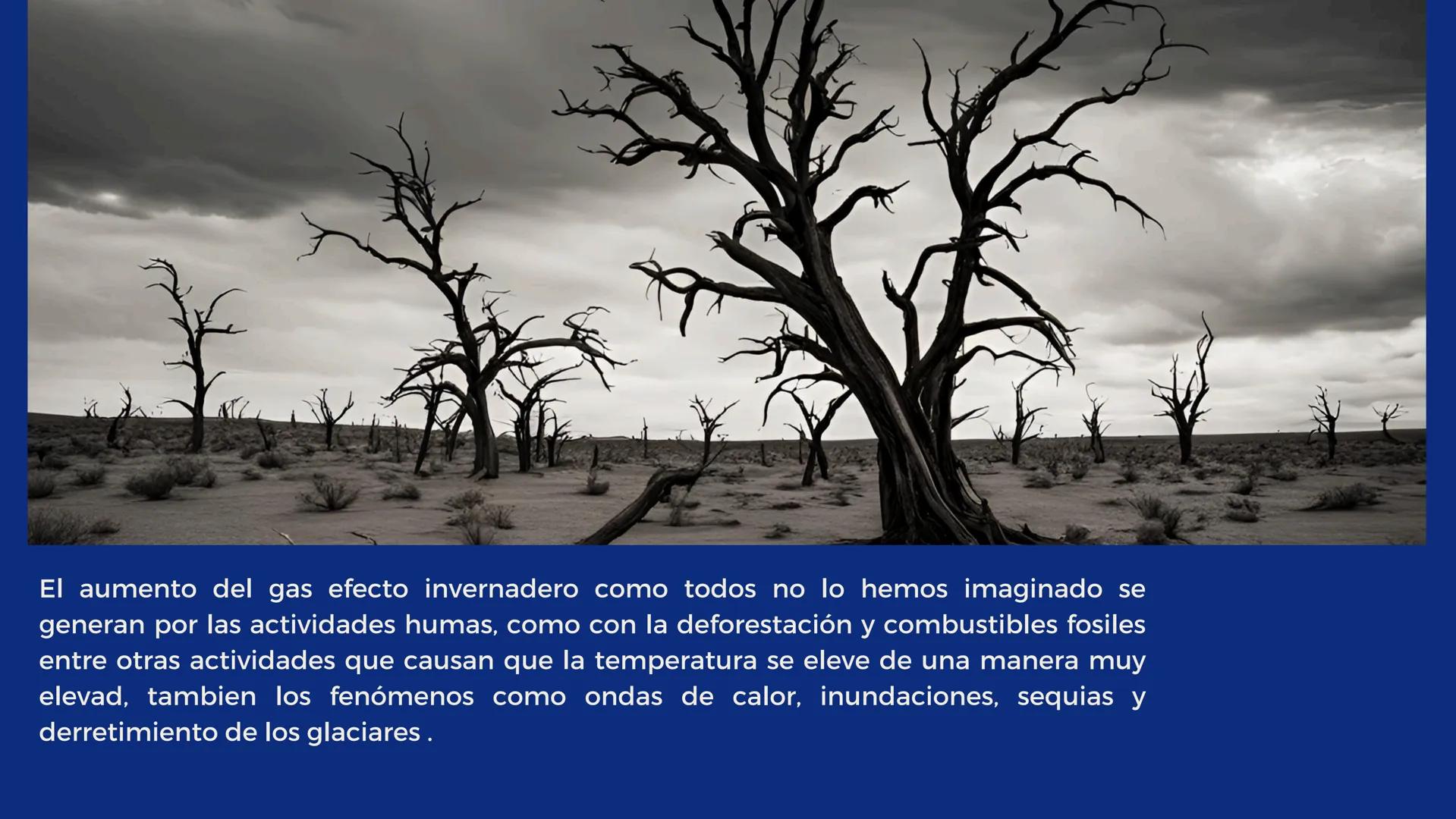 # EL CAMBIO
# CLIMÁTICO
EFECTO DEL AUMENTO
DE GASES DE EFECTO
INVERNADERO EN LA
TEMPERATURA
TERRESTRE. 01 - INTRODUCCION
02 - OBJETIVO
03 -