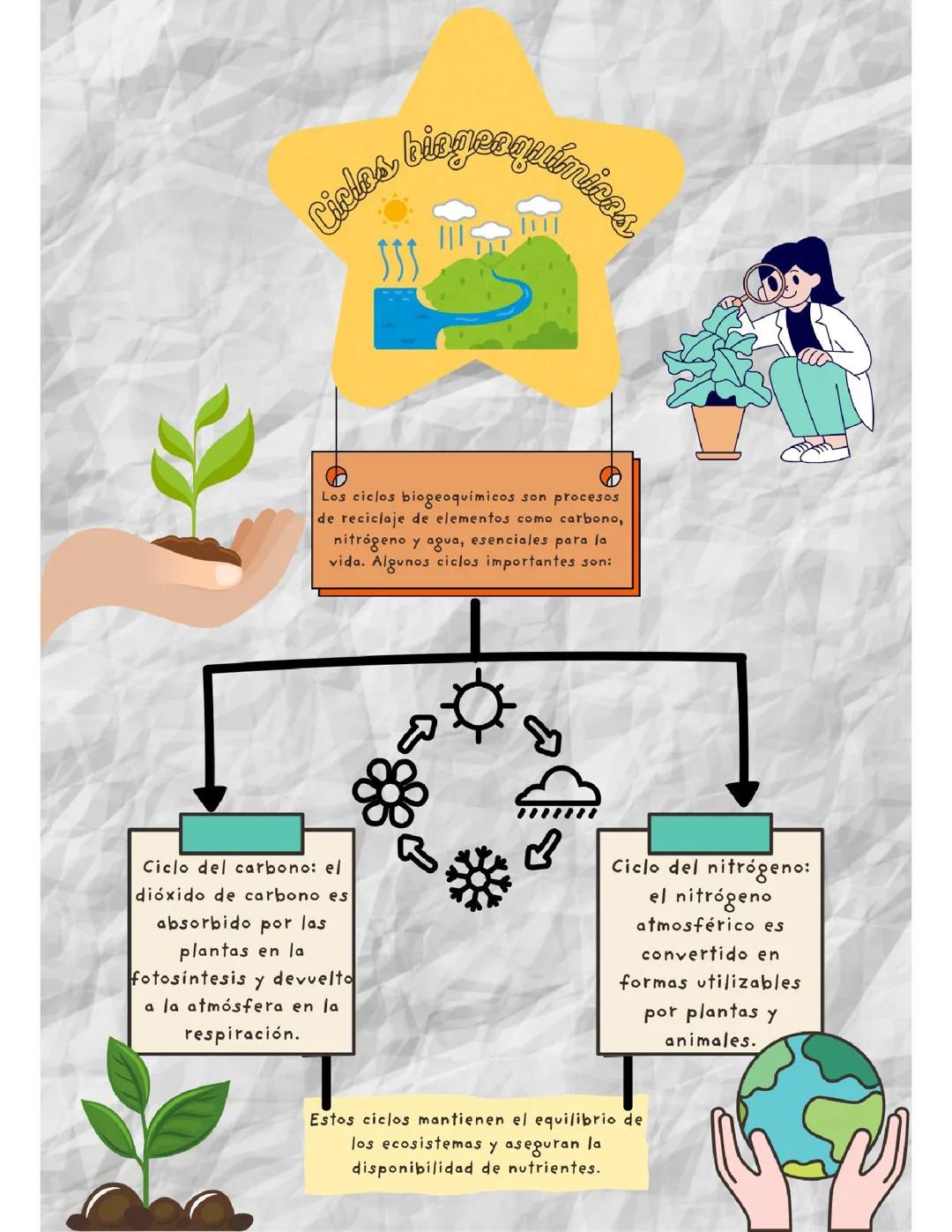 Los Ciclos Biogeoquímicos: Comprensión Fundamental