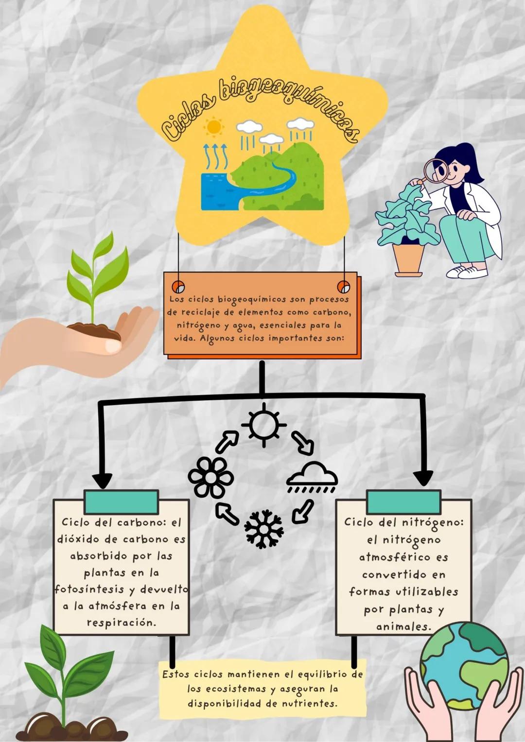 Cicles
biogeog
Mimices
Los ciclos biogeoquímicos son procesos
de reciclaje de elementos como carbono,
nitrógeno y agua, esenciales para la
v