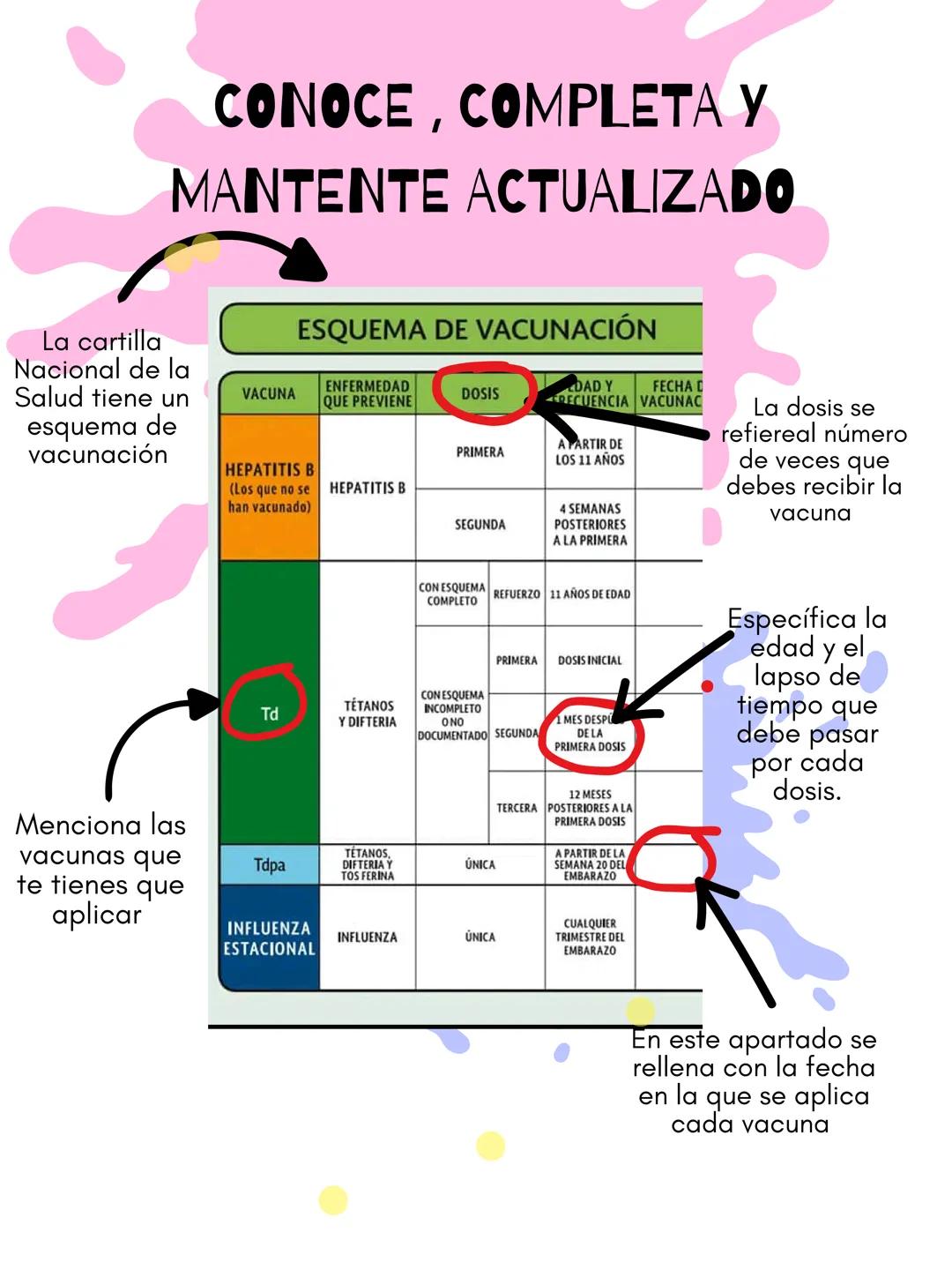 # CONOCE, COMPLETA У
# MANTENTE ACTUALIZADO
La cartilla
Nacional de la
Salud tiene un
esquema de
vacunación
# ESQUEMA DE VACUNACIÓN
| VA
