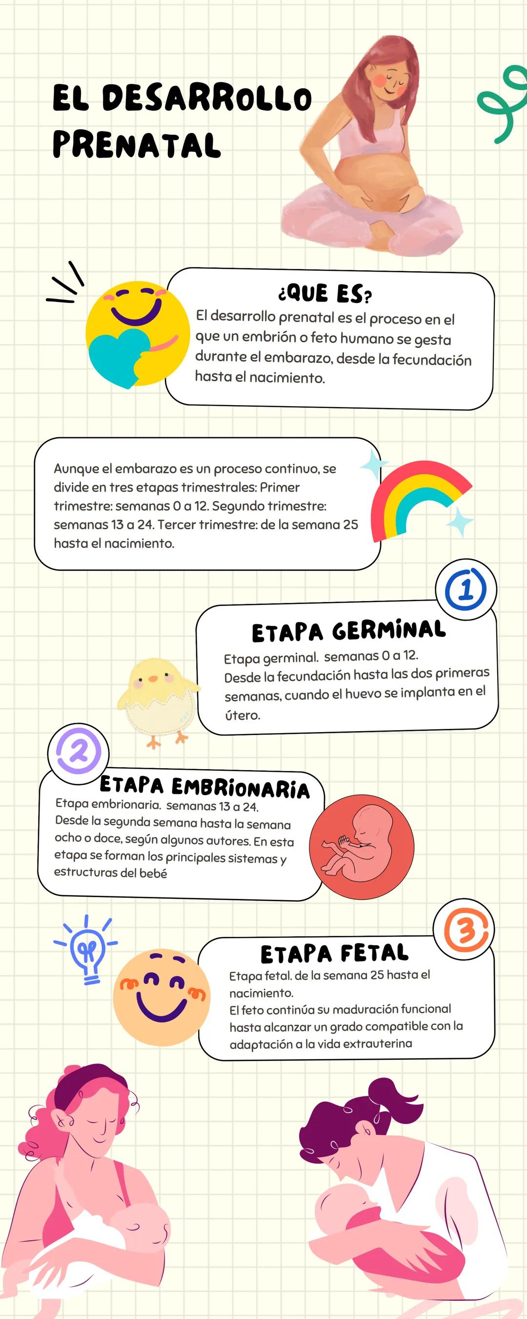 # EL DESARROLLO
PRENATAL
¿QUE ES?
El desarrollo prenatal es el proceso en el
que un embrión o feto humano se gesta
durante el embarazo, des