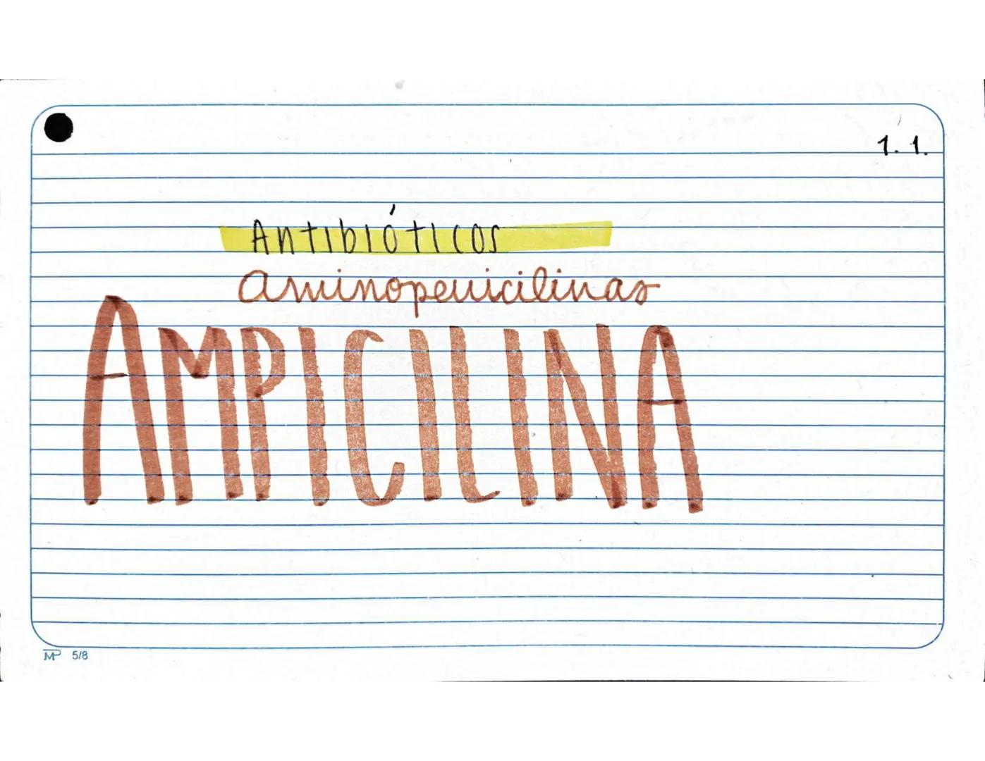 # 1.1.
Antibióticos
Aminopenicilinas
# AMPICILINA
Mª 5/8 Farmarocinetica:
-Absorción, muiasa gastrointestinal
- se distribuye ampliament