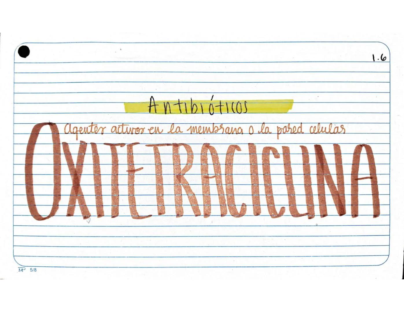 # 1.1.
Antibióticos
Aminopenicilinas
# AMPICILINA
Mª 5/8 Farmarocinetica:
-Absorción, muiasa gastrointestinal
- se distribuye ampliament