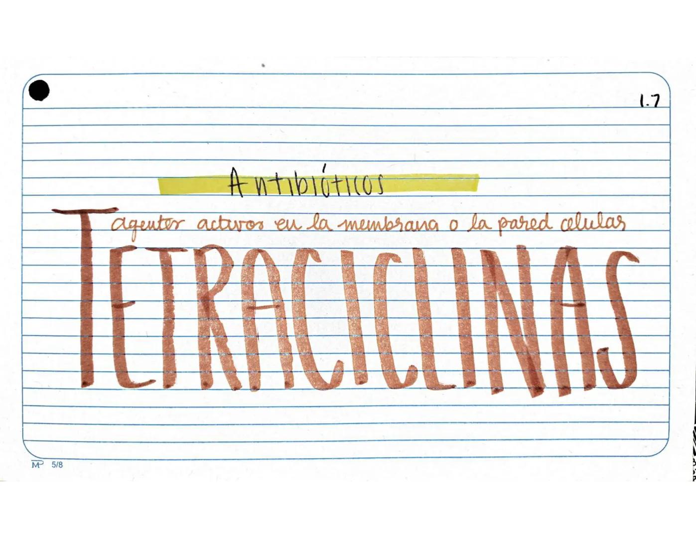 # 1.1.
Antibióticos
Aminopenicilinas
# AMPICILINA
Mª 5/8 Farmarocinetica:
-Absorción, muiasa gastrointestinal
- se distribuye ampliament