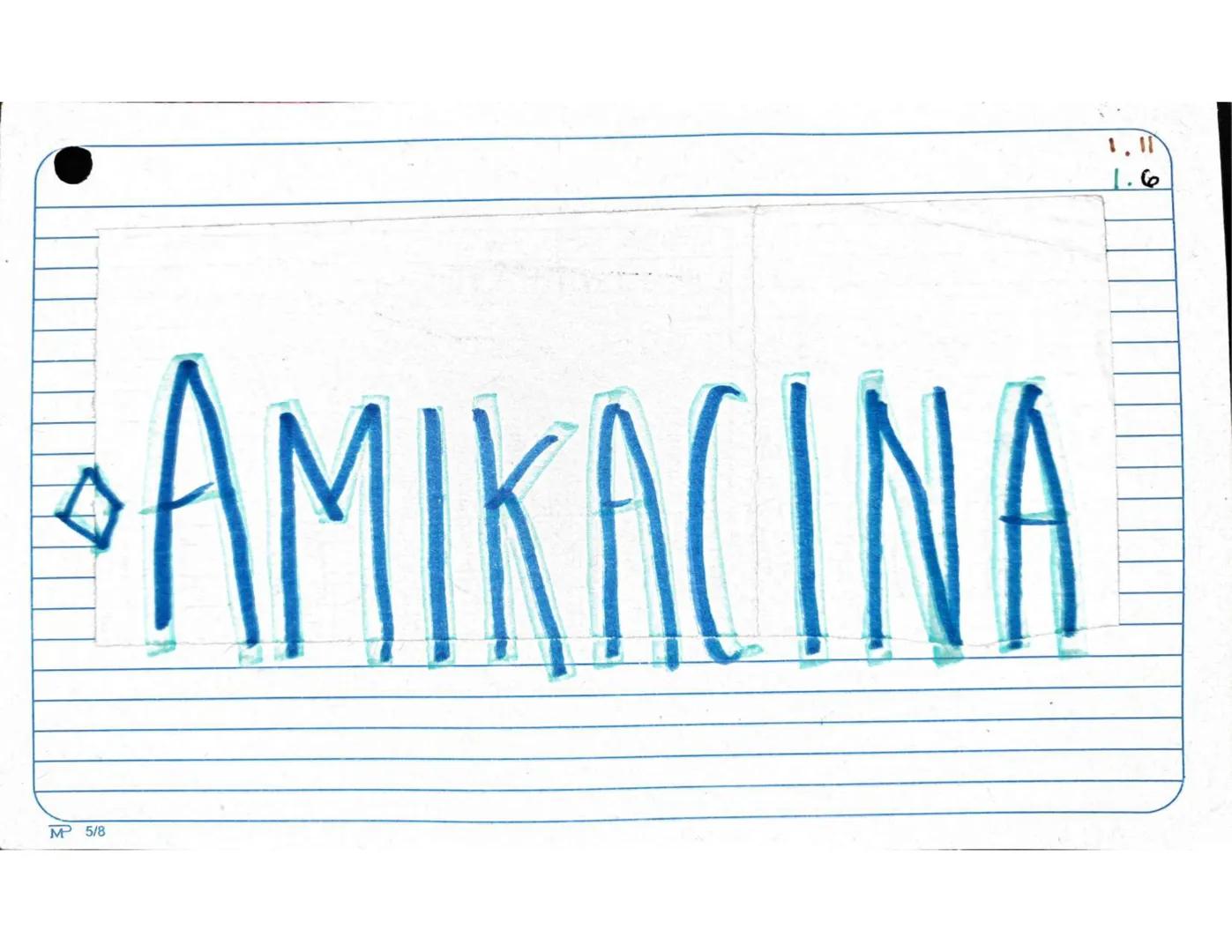 # 1.1.
Antibióticos
Aminopenicilinas
# AMPICILINA
Mª 5/8 Farmarocinetica:
-Absorción, muiasa gastrointestinal
- se distribuye ampliament
