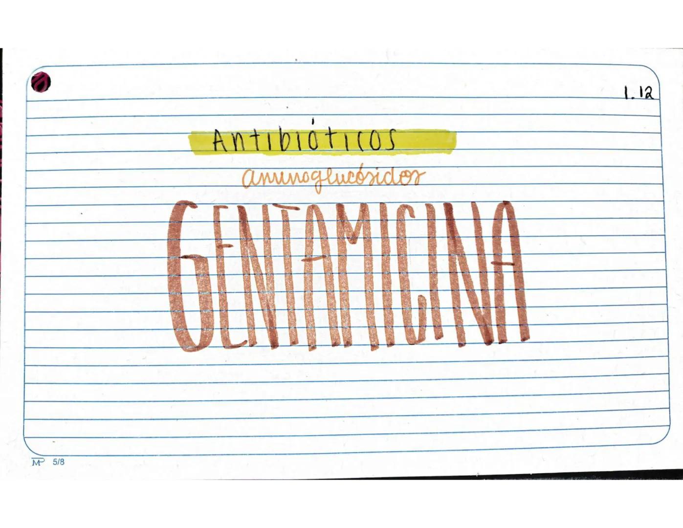 # 1.1.
Antibióticos
Aminopenicilinas
# AMPICILINA
Mª 5/8 Farmarocinetica:
-Absorción, muiasa gastrointestinal
- se distribuye ampliament