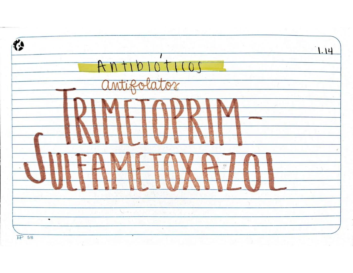 # 1.1.
Antibióticos
Aminopenicilinas
# AMPICILINA
Mª 5/8 Farmarocinetica:
-Absorción, muiasa gastrointestinal
- se distribuye ampliament