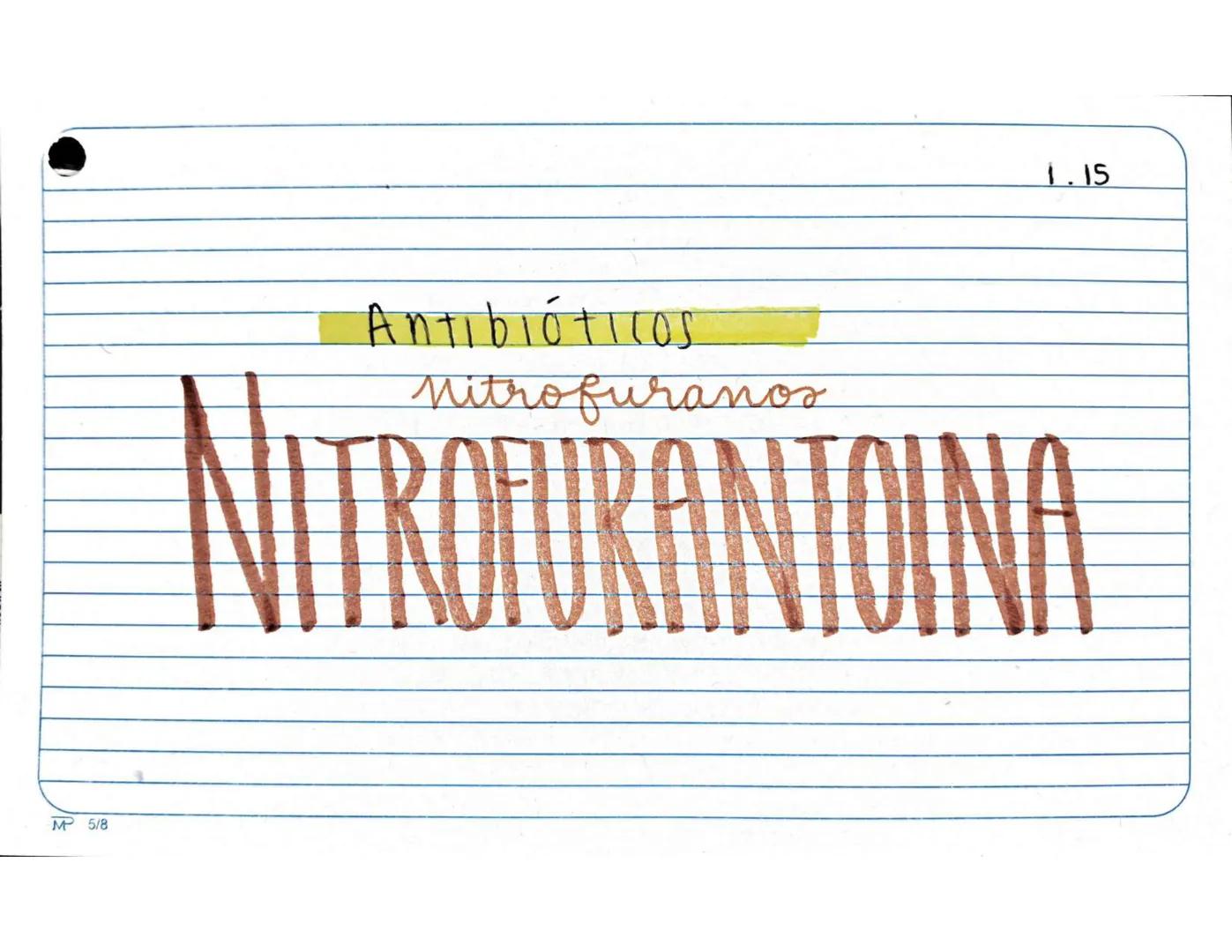 # 1.1.
Antibióticos
Aminopenicilinas
# AMPICILINA
Mª 5/8 Farmarocinetica:
-Absorción, muiasa gastrointestinal
- se distribuye ampliament