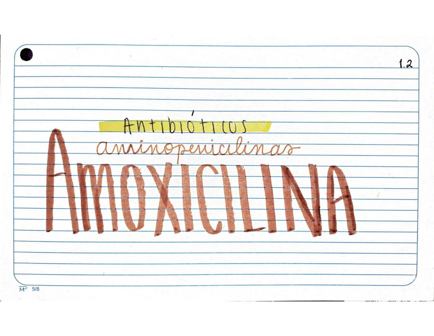 # 1.1.
Antibióticos
Aminopenicilinas
# AMPICILINA
Mª 5/8 Farmarocinetica:
-Absorción, muiasa gastrointestinal
- se distribuye ampliament
