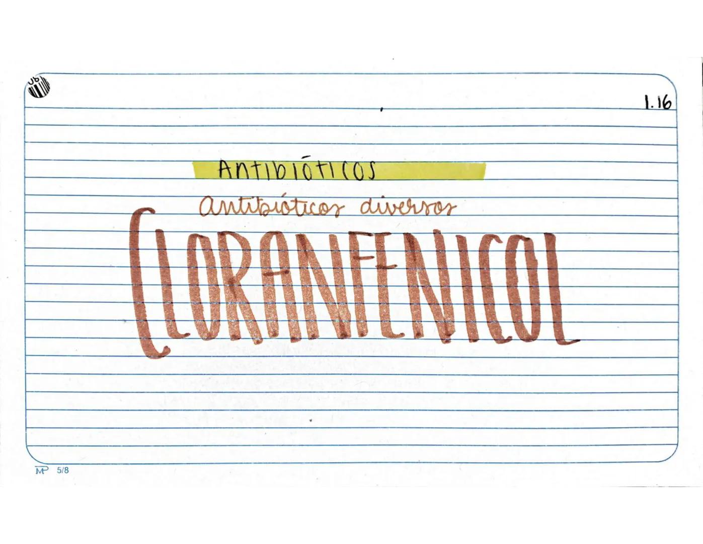# 1.1.
Antibióticos
Aminopenicilinas
# AMPICILINA
Mª 5/8 Farmarocinetica:
-Absorción, muiasa gastrointestinal
- se distribuye ampliament