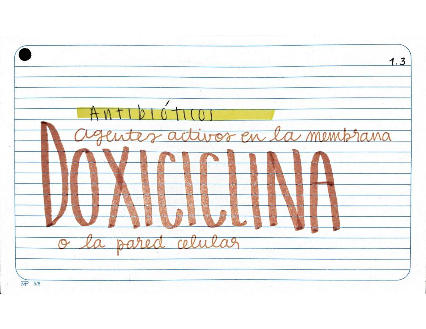 # 1.1.
Antibióticos
Aminopenicilinas
# AMPICILINA
Mª 5/8 Farmarocinetica:
-Absorción, muiasa gastrointestinal
- se distribuye ampliament