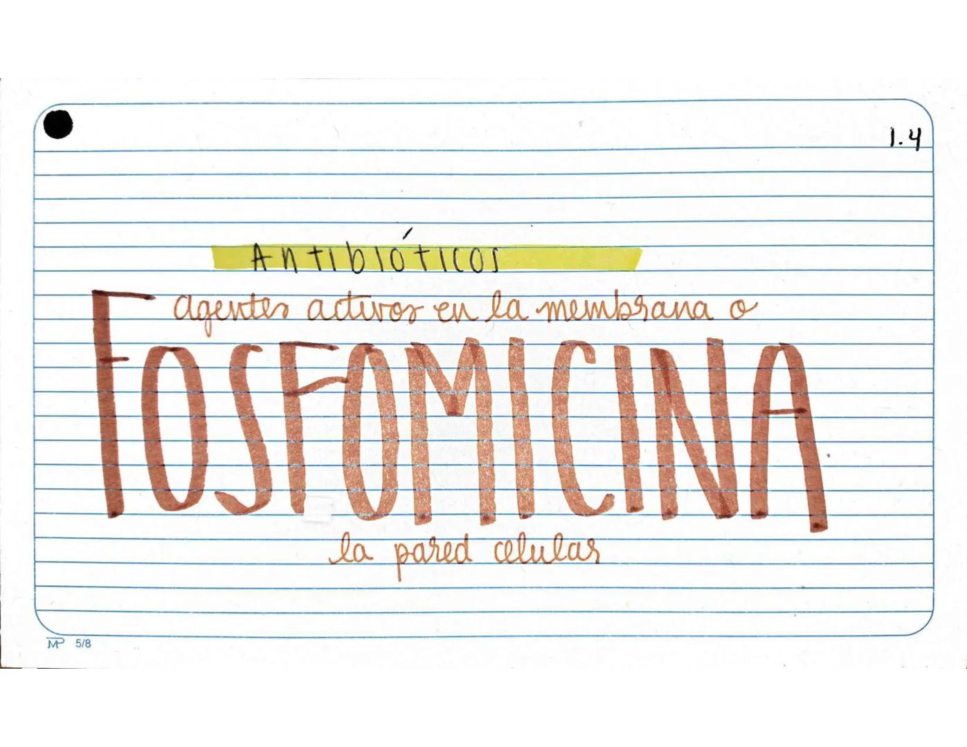 # 1.1.
Antibióticos
Aminopenicilinas
# AMPICILINA
Mª 5/8 Farmarocinetica:
-Absorción, muiasa gastrointestinal
- se distribuye ampliament