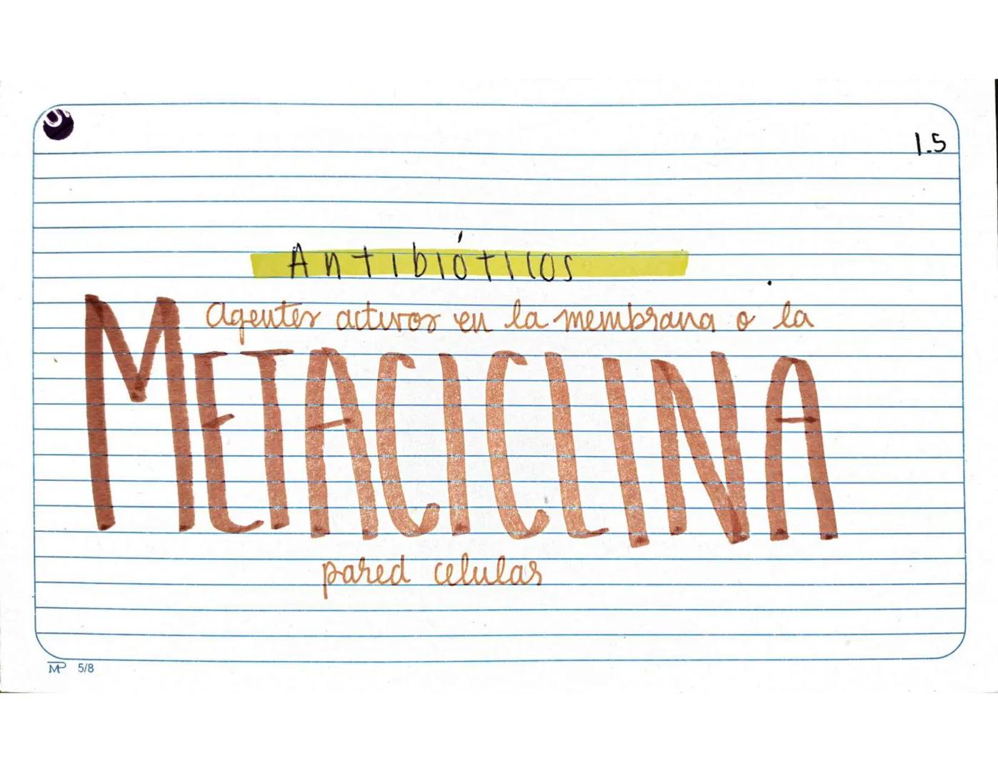 # 1.1.
Antibióticos
Aminopenicilinas
# AMPICILINA
Mª 5/8 Farmarocinetica:
-Absorción, muiasa gastrointestinal
- se distribuye ampliament