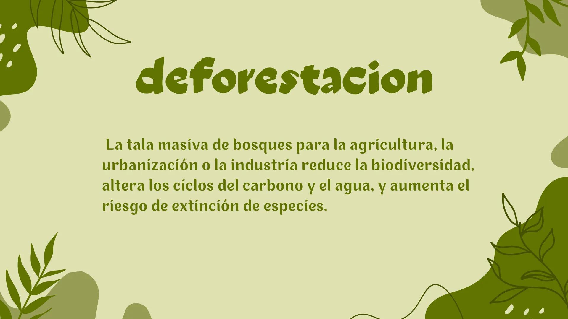 Ecosistema # Introducción
Un ecosistema es una comunidad de organismos vívos que
interactúan entre sí y con su entorno físico en un espacio