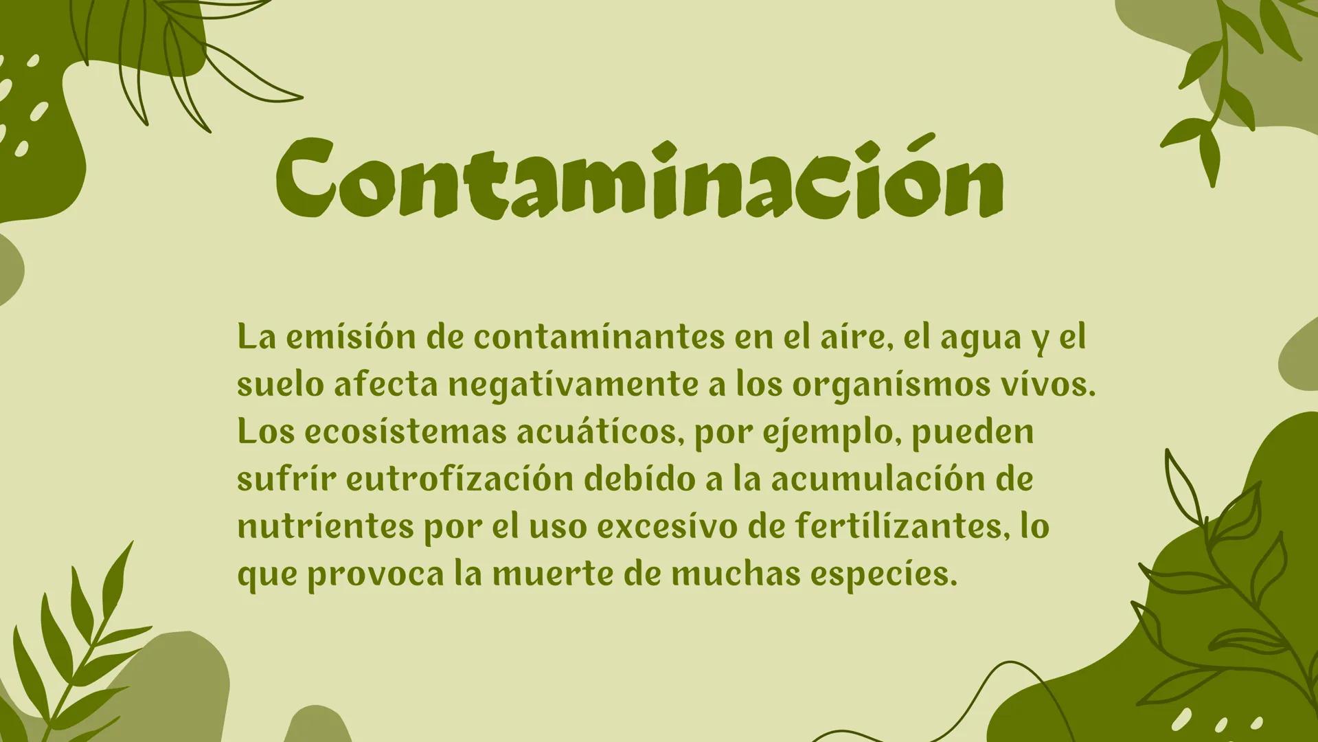 Ecosistema # Introducción
Un ecosistema es una comunidad de organismos vívos que
interactúan entre sí y con su entorno físico en un espacio