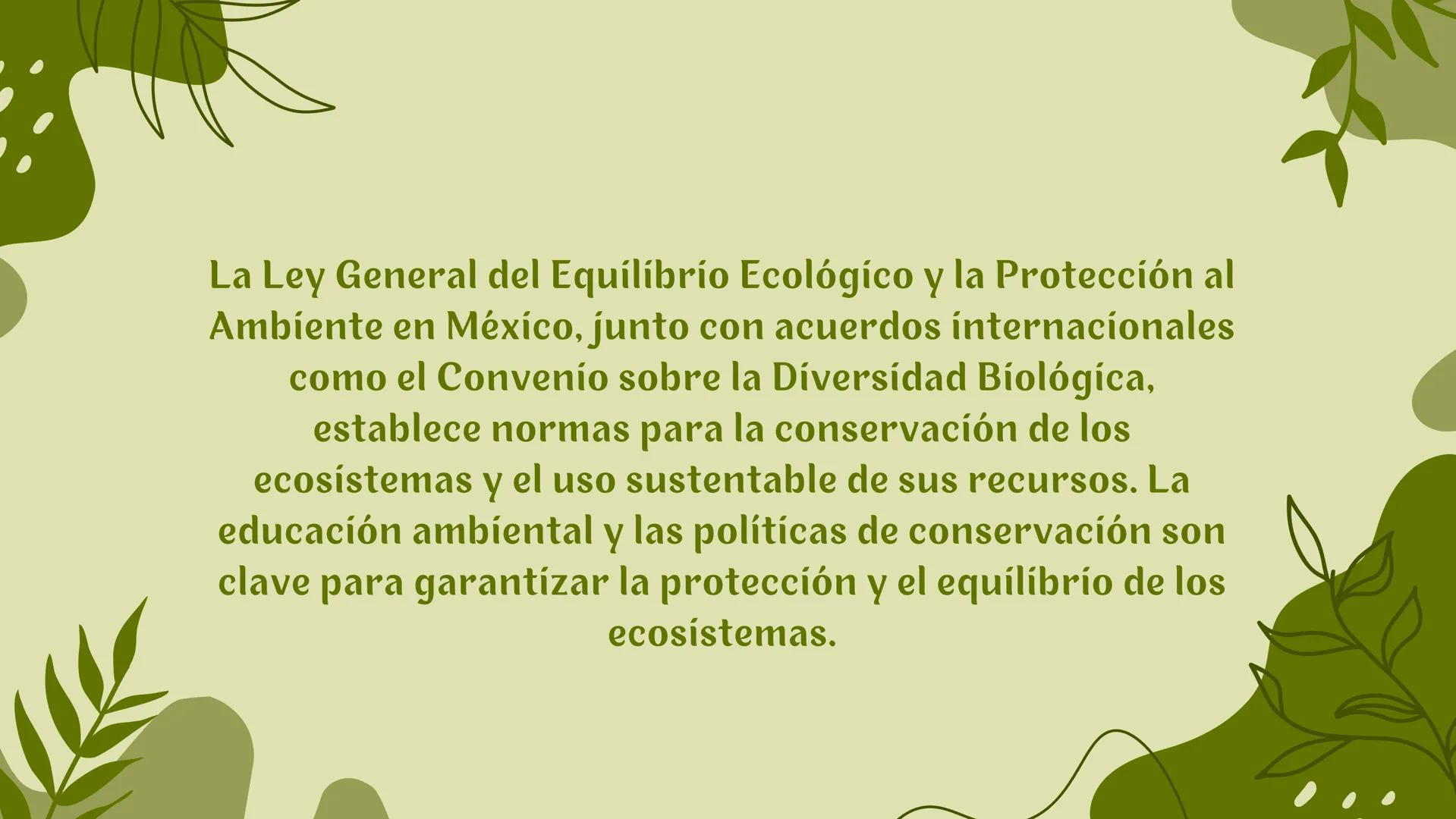 Ecosistema # Introducción
Un ecosistema es una comunidad de organismos vívos que
interactúan entre sí y con su entorno físico en un espacio