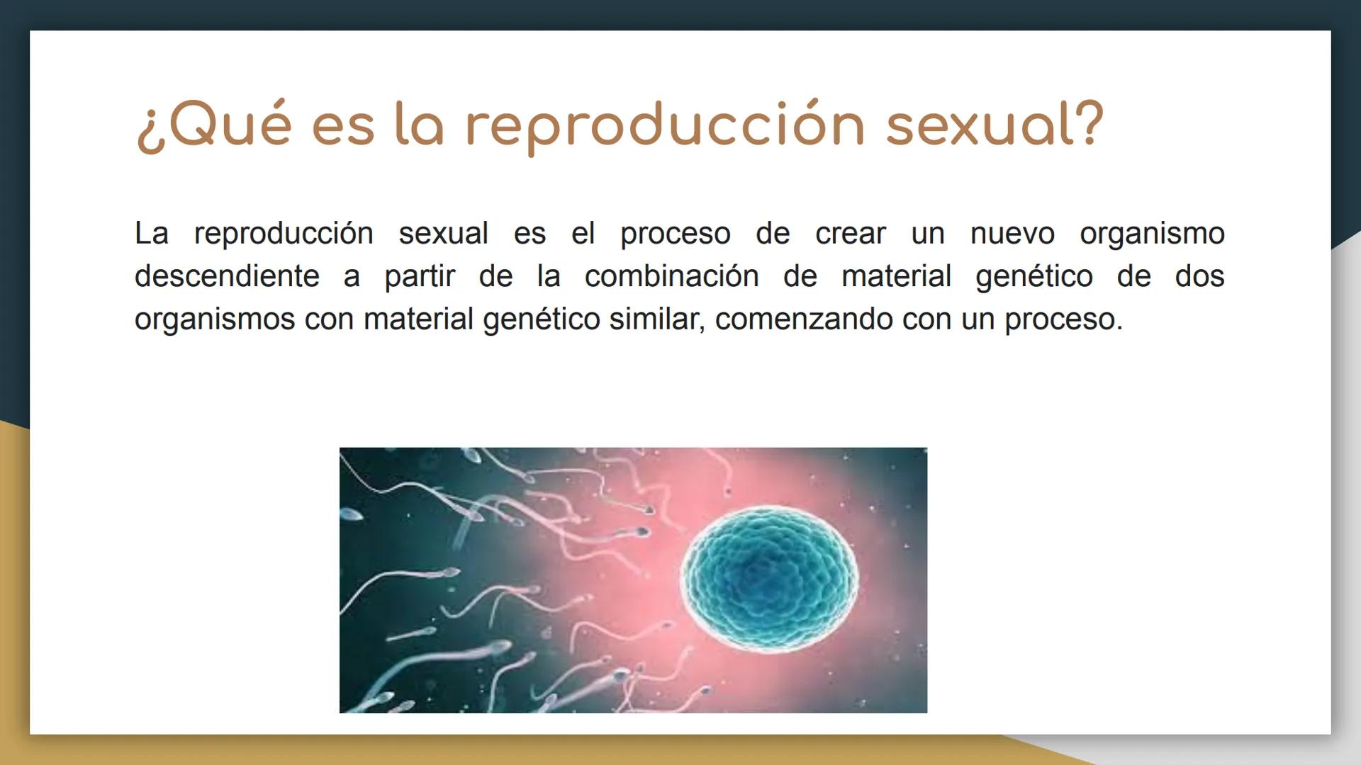 Reproducción sexual y
asexual
• Castillo Cruz Arely
García Cervantes Adriana Paola
García Hernández Andrea Polette
Gonzalez Moreno Gustavo J