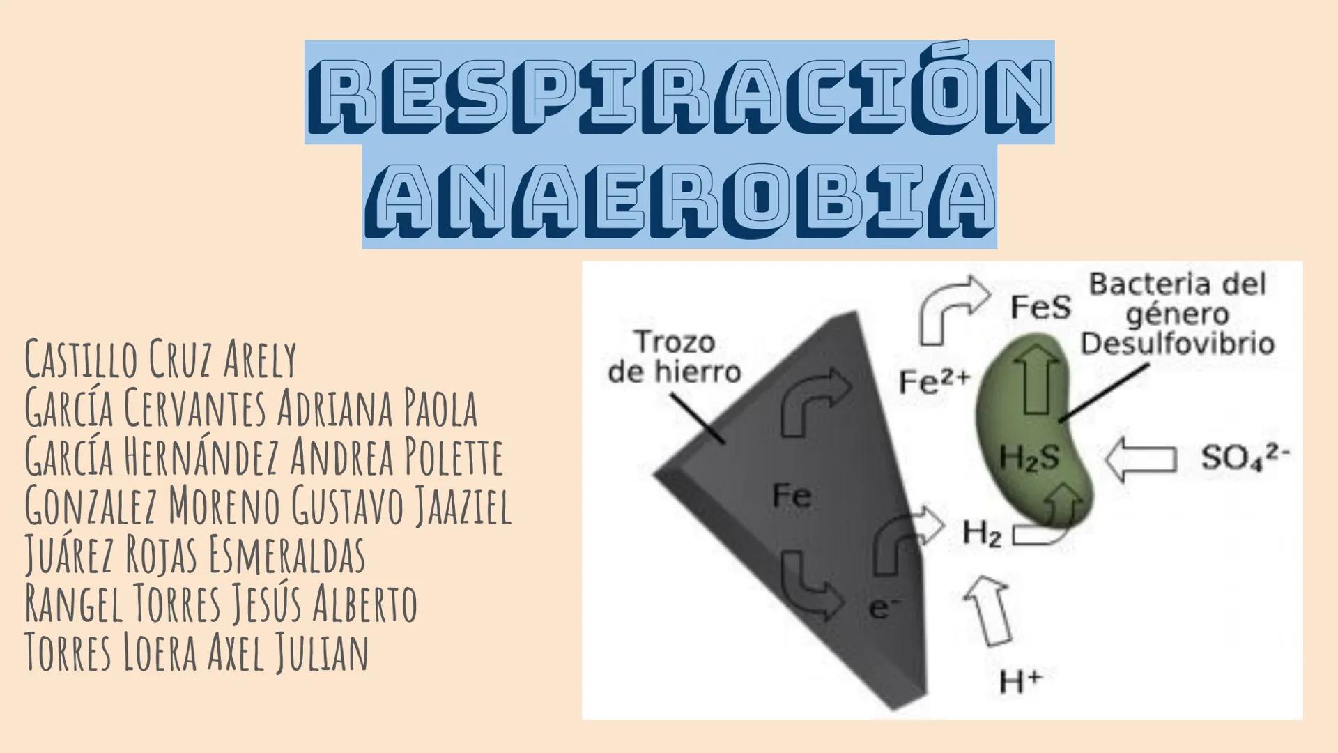 # RESPIRACIÓN
# ANAEROBIA
CASTILLO CRUZ ARELY
GARCÍA CERVANTES ADRIANA PAOLA
GARCÍA HERNÁNDEZ ANDREA POLETTE
GONZALEZ MORENO GUSTAVO JA