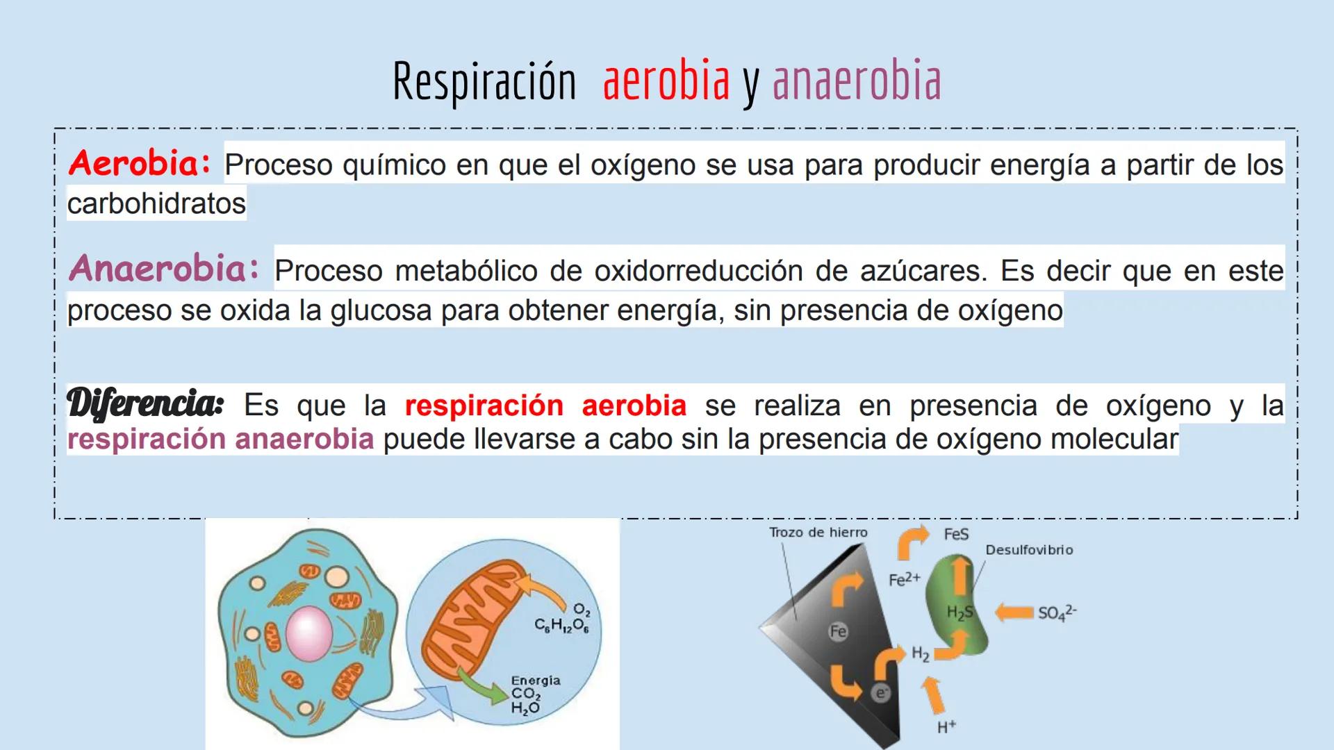 # RESPIRACIÓN
# ANAEROBIA
CASTILLO CRUZ ARELY
GARCÍA CERVANTES ADRIANA PAOLA
GARCÍA HERNÁNDEZ ANDREA POLETTE
GONZALEZ MORENO GUSTAVO JA