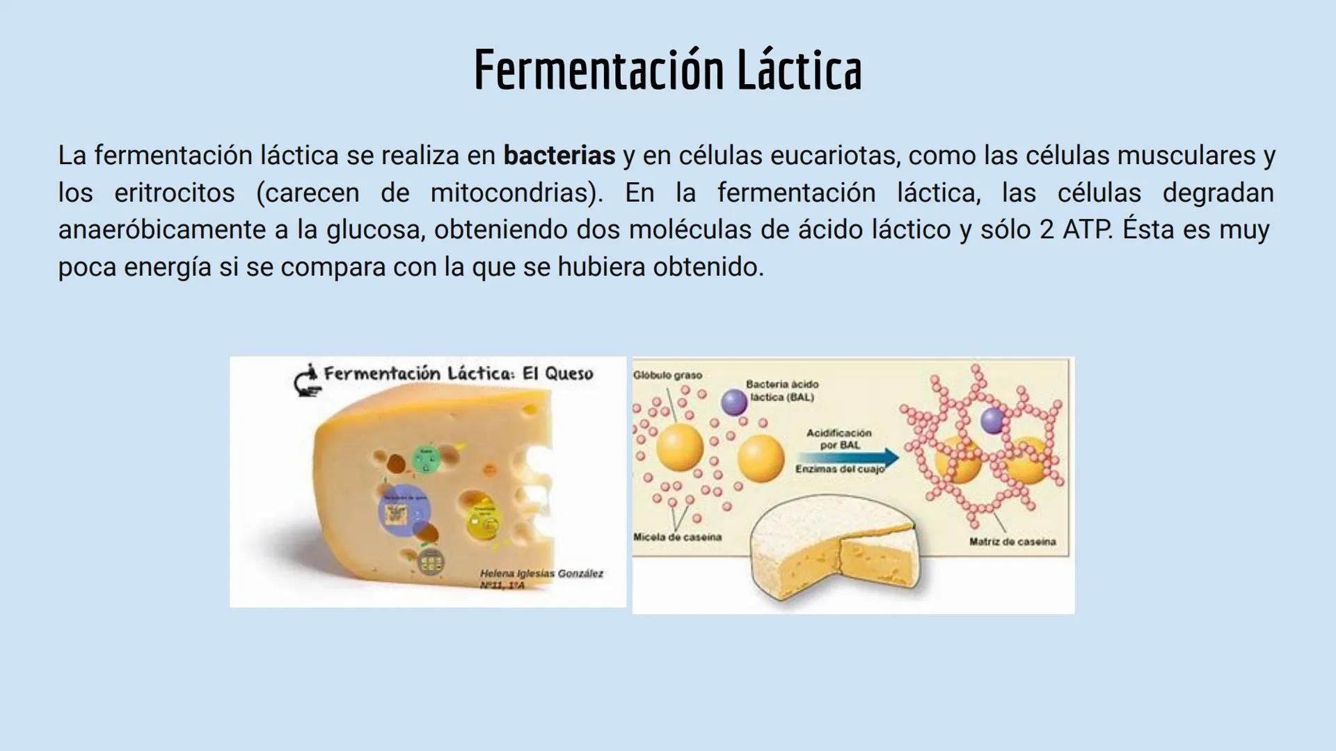 # RESPIRACIÓN
# ANAEROBIA
CASTILLO CRUZ ARELY
GARCÍA CERVANTES ADRIANA PAOLA
GARCÍA HERNÁNDEZ ANDREA POLETTE
GONZALEZ MORENO GUSTAVO JA