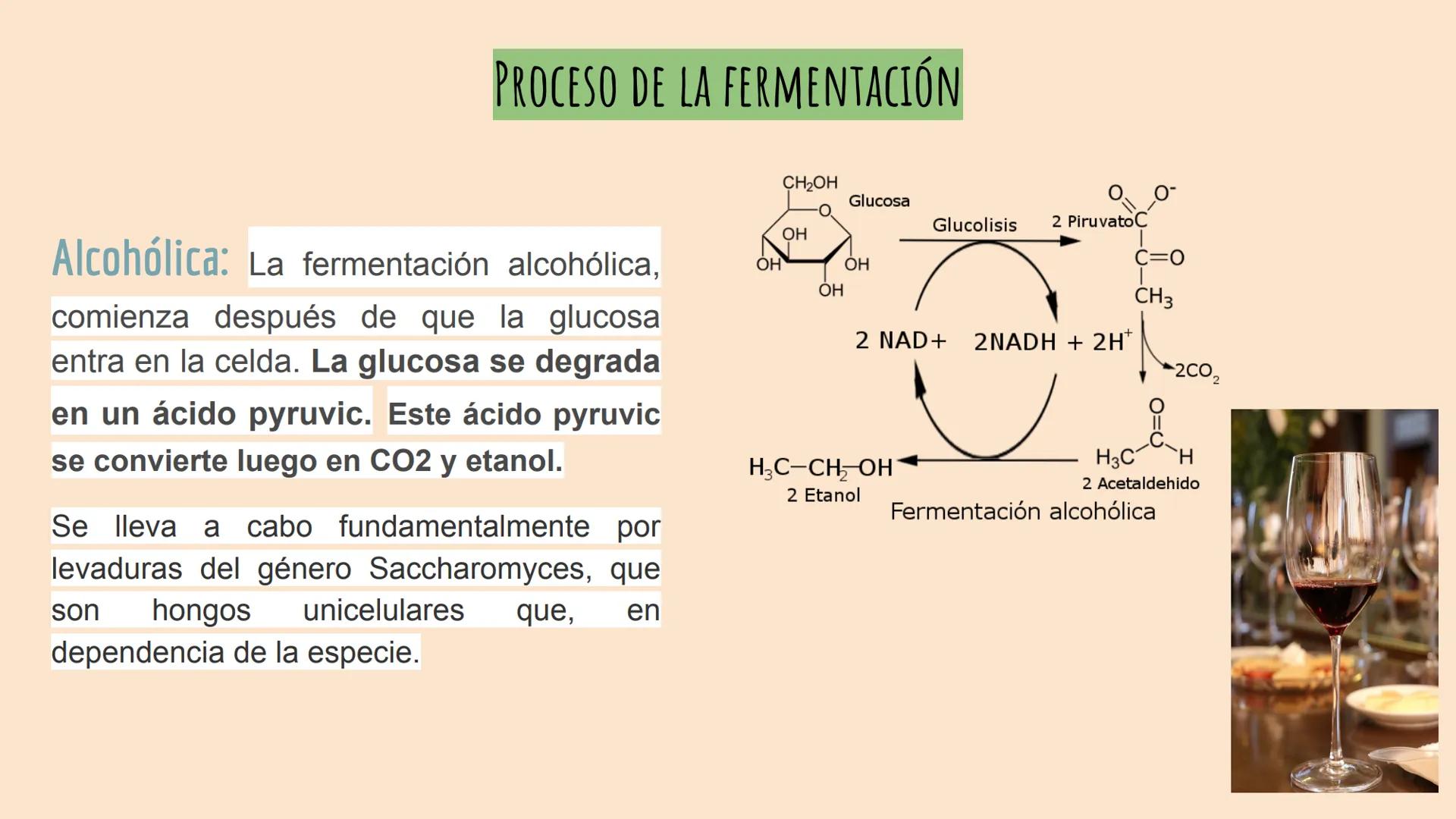 # RESPIRACIÓN
# ANAEROBIA
CASTILLO CRUZ ARELY
GARCÍA CERVANTES ADRIANA PAOLA
GARCÍA HERNÁNDEZ ANDREA POLETTE
GONZALEZ MORENO GUSTAVO JA